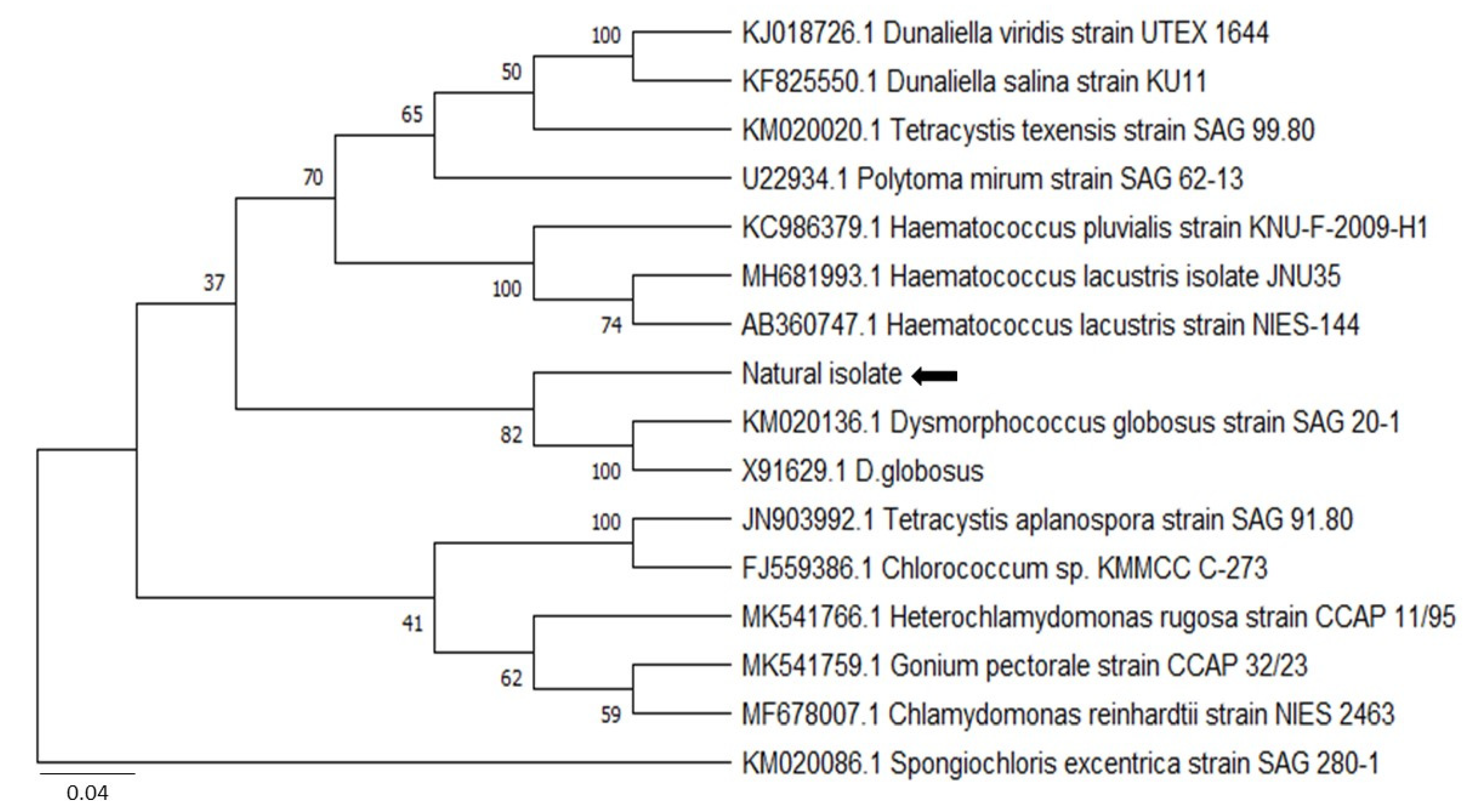 Biology 11 00884 g003