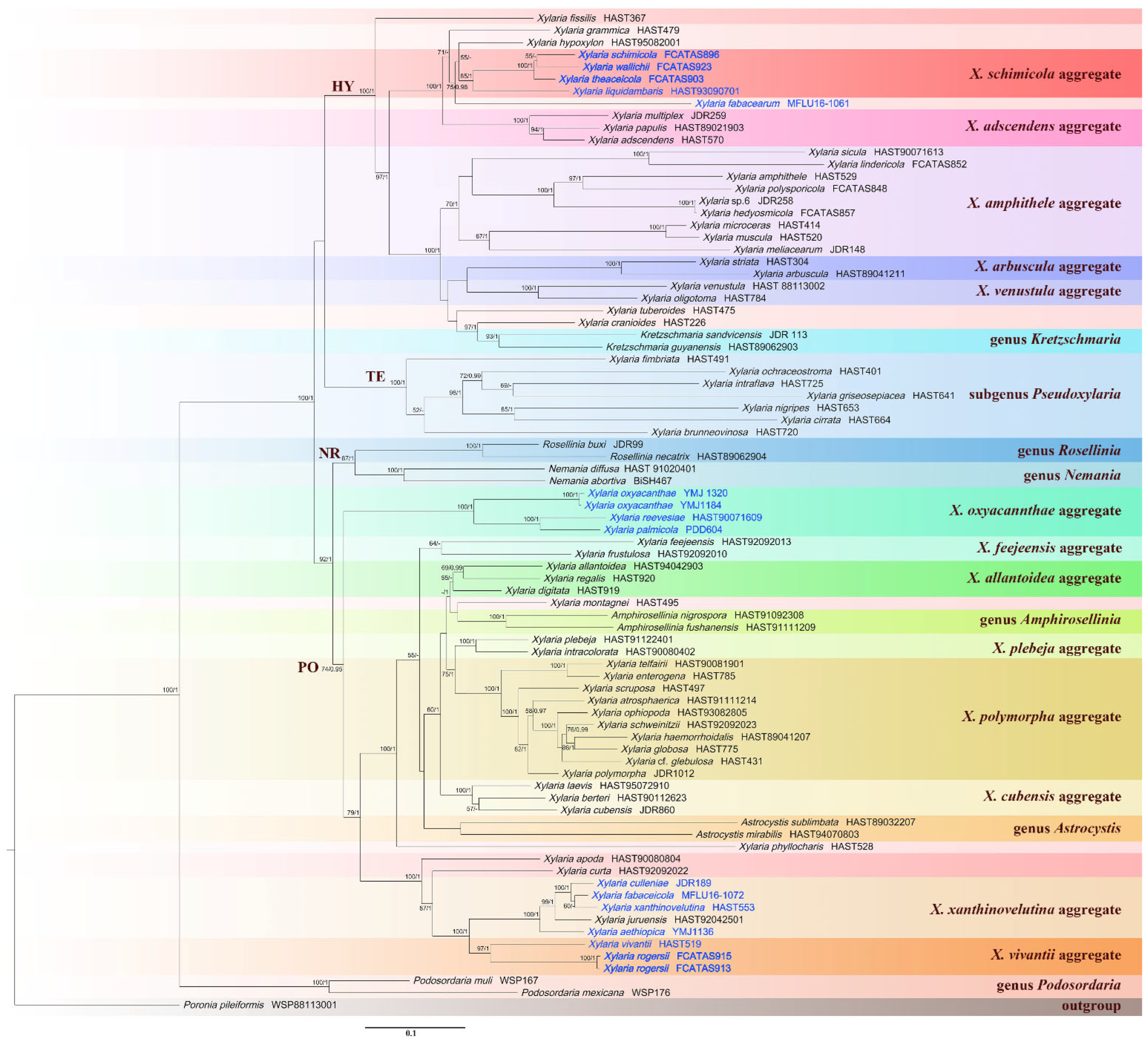 Biology 11 00885 g001 550