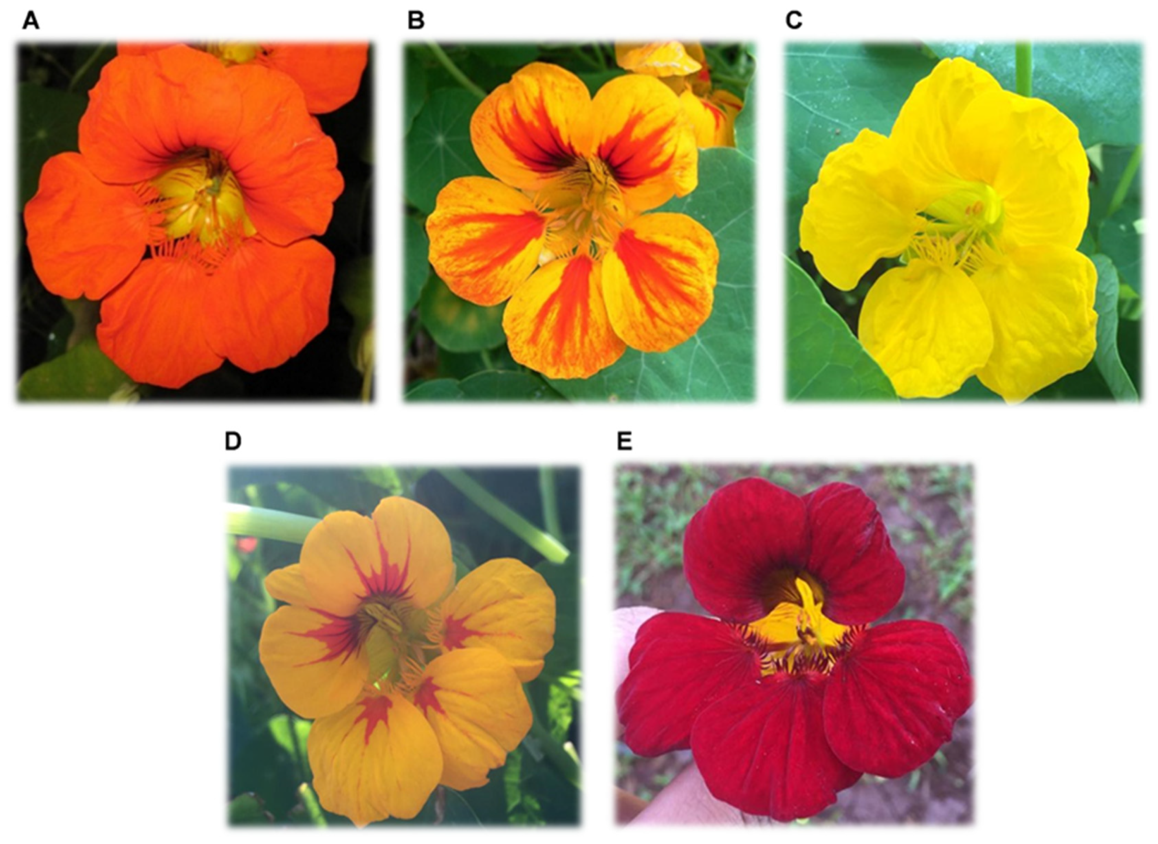 Biology 11 00887 g002