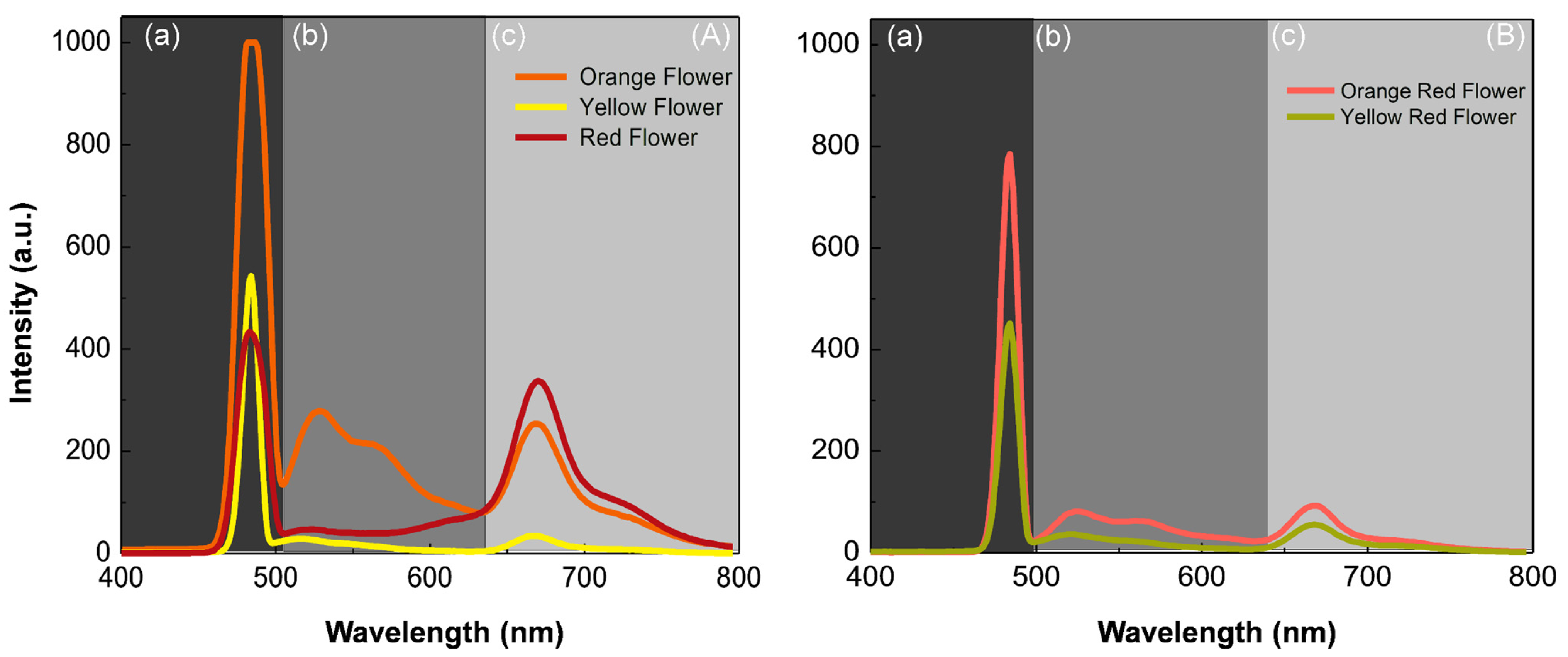 Biology 11 00887 g006