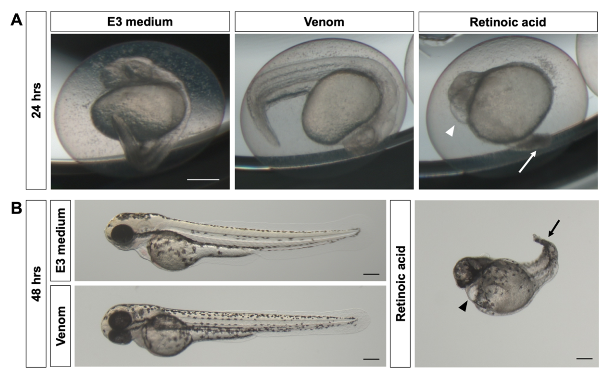 Biology 11 00888 g002