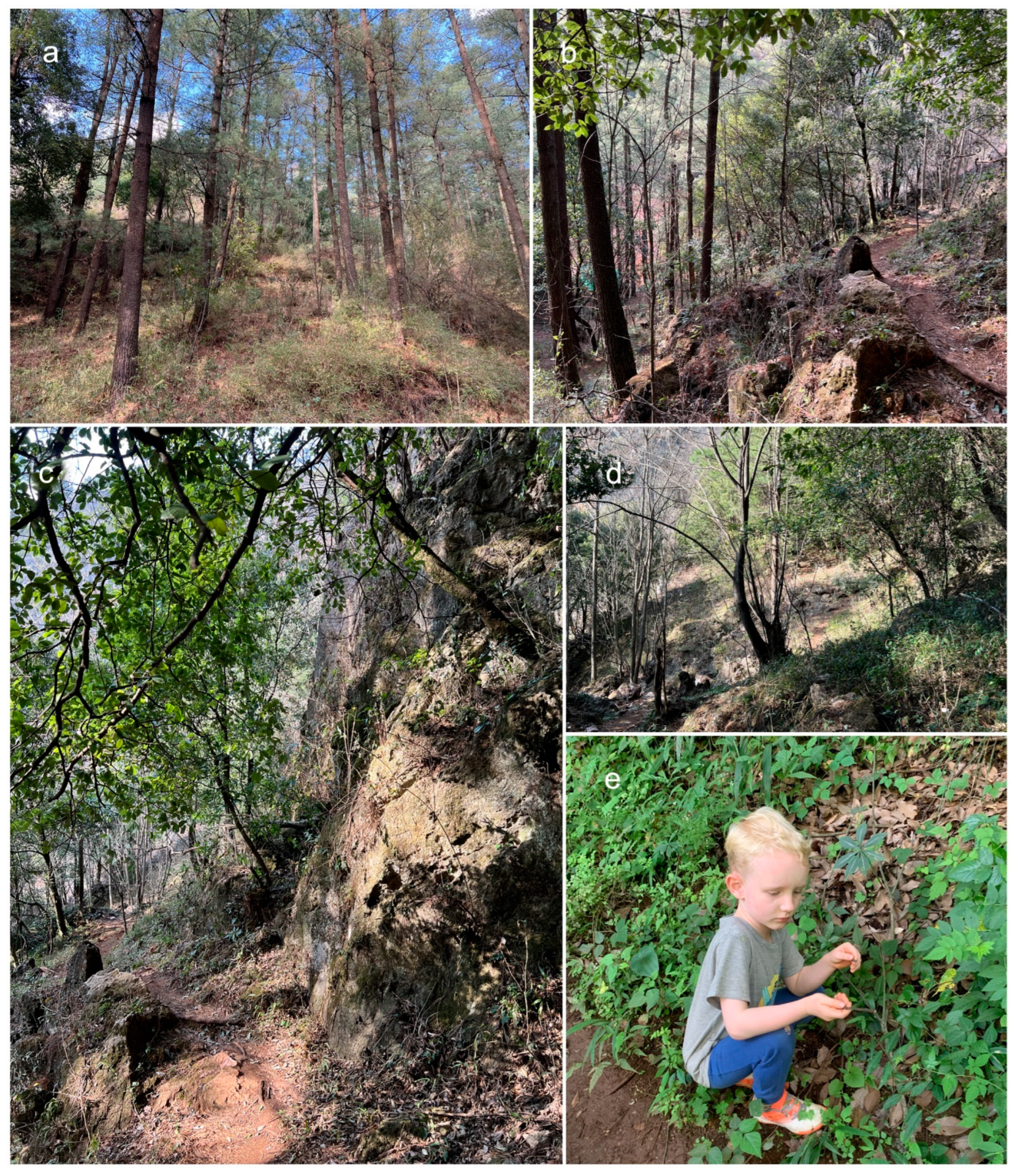 Biology 11 00889 g001 550