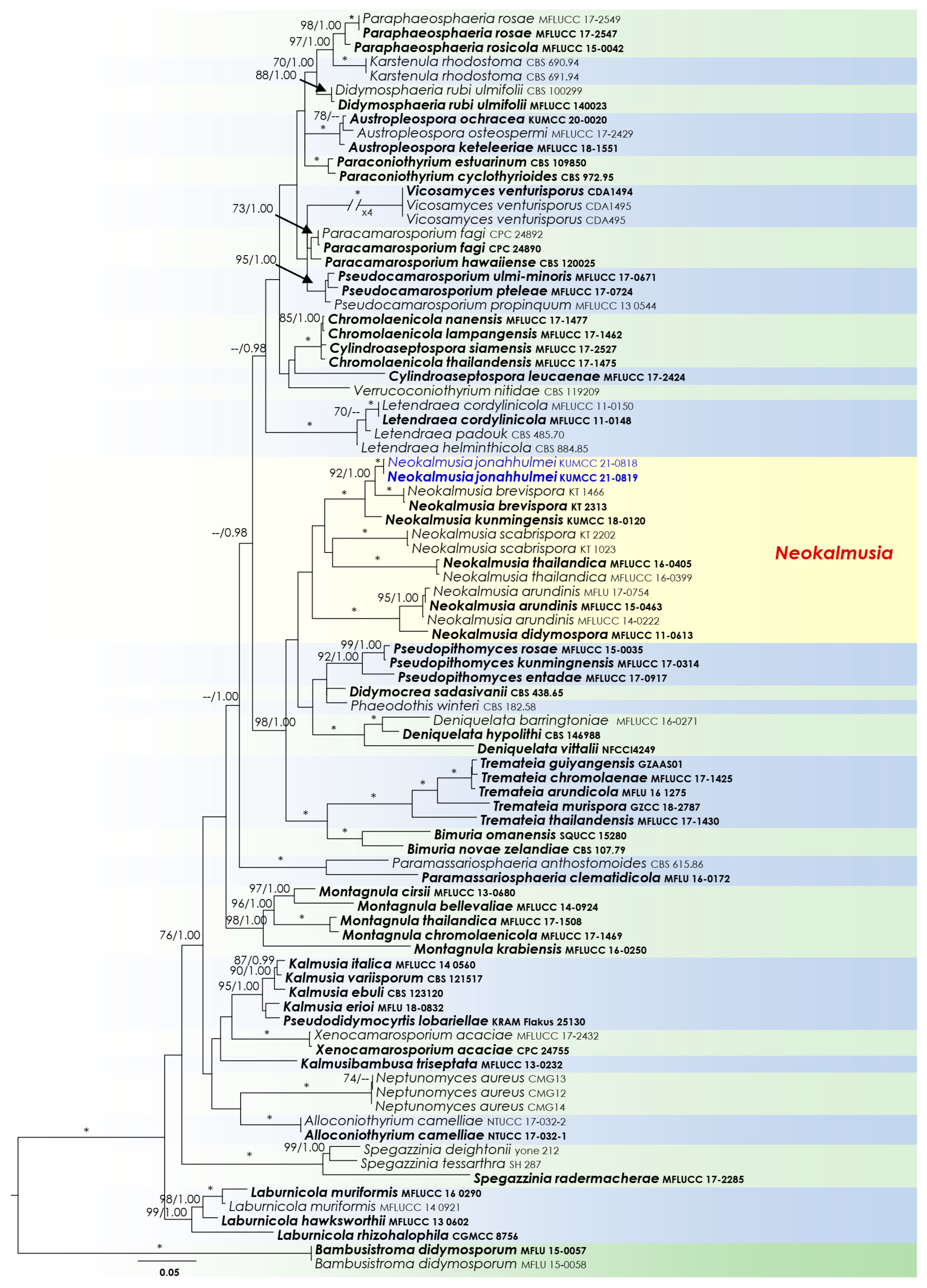 Biology 11 00889 g002 550