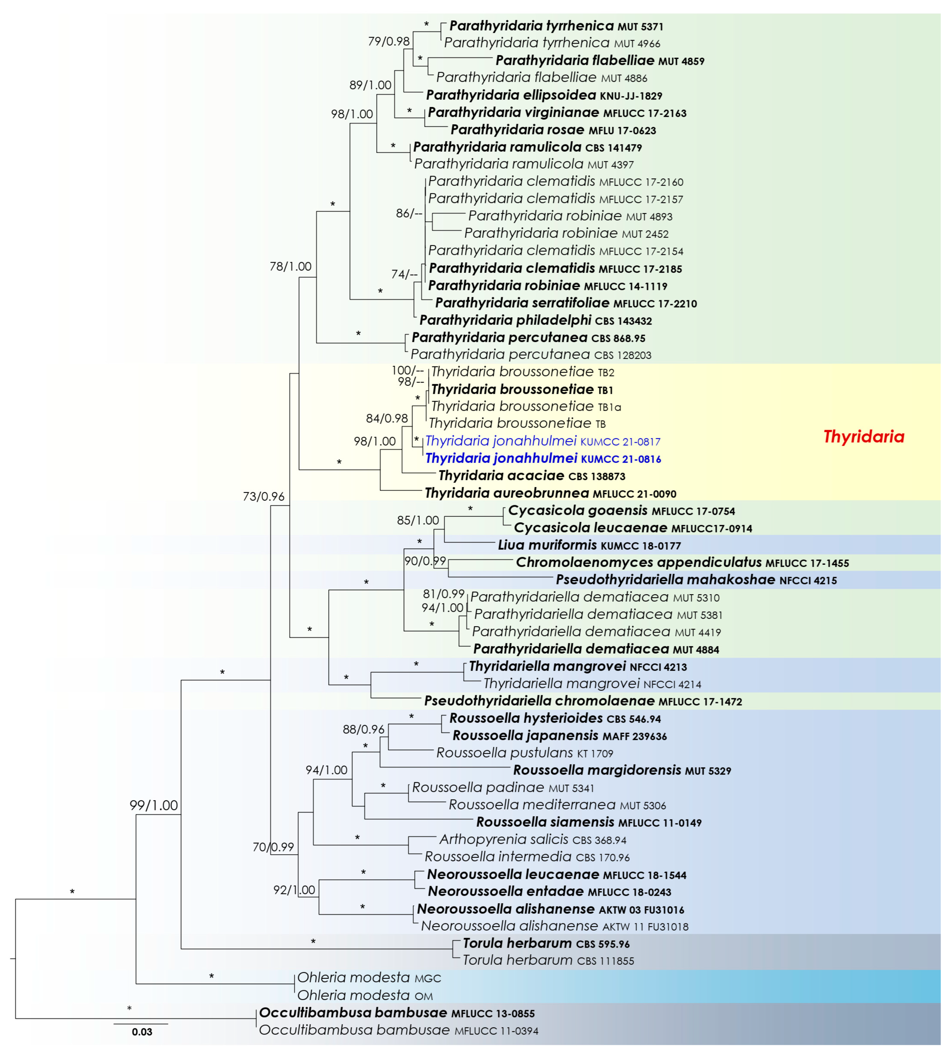 Biology 11 00889 g003 550