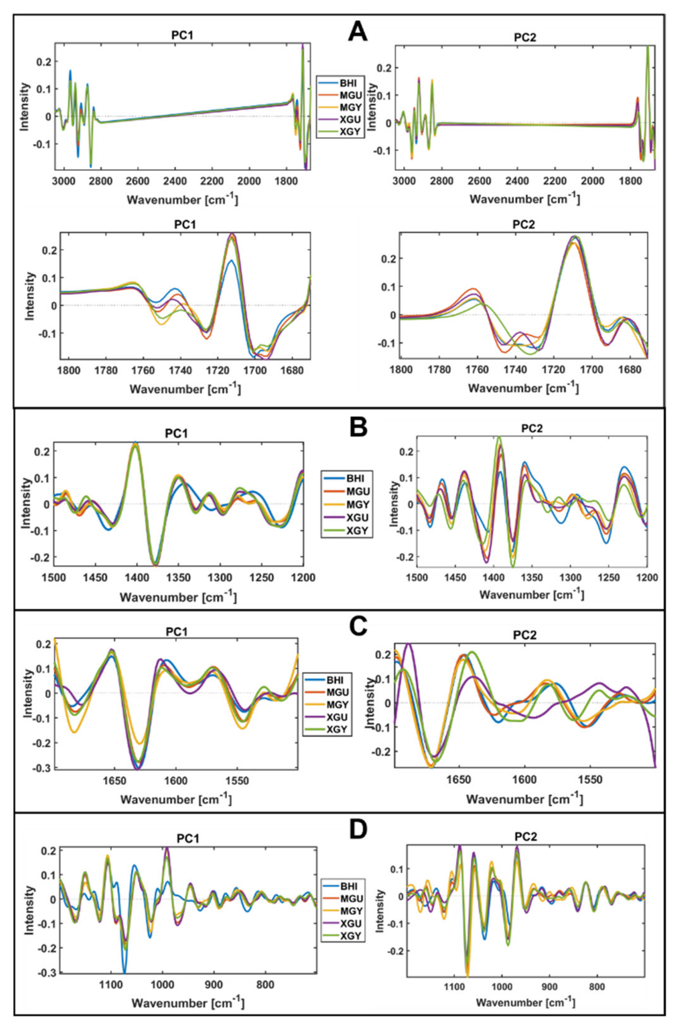 Biology 11 00890 g008 Biology 11 00890 g008