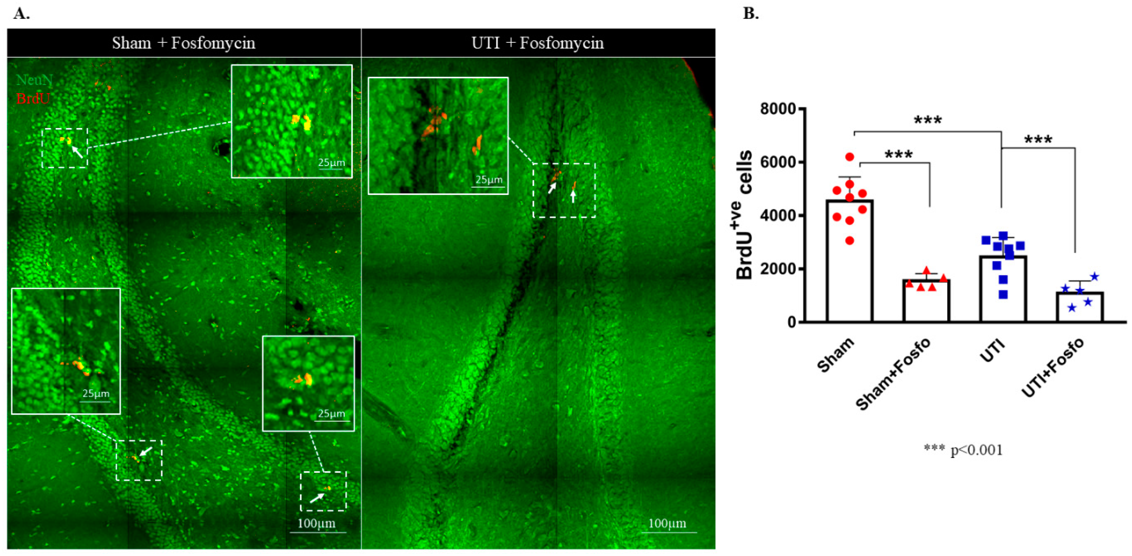 Biology 11 00891 g007 550