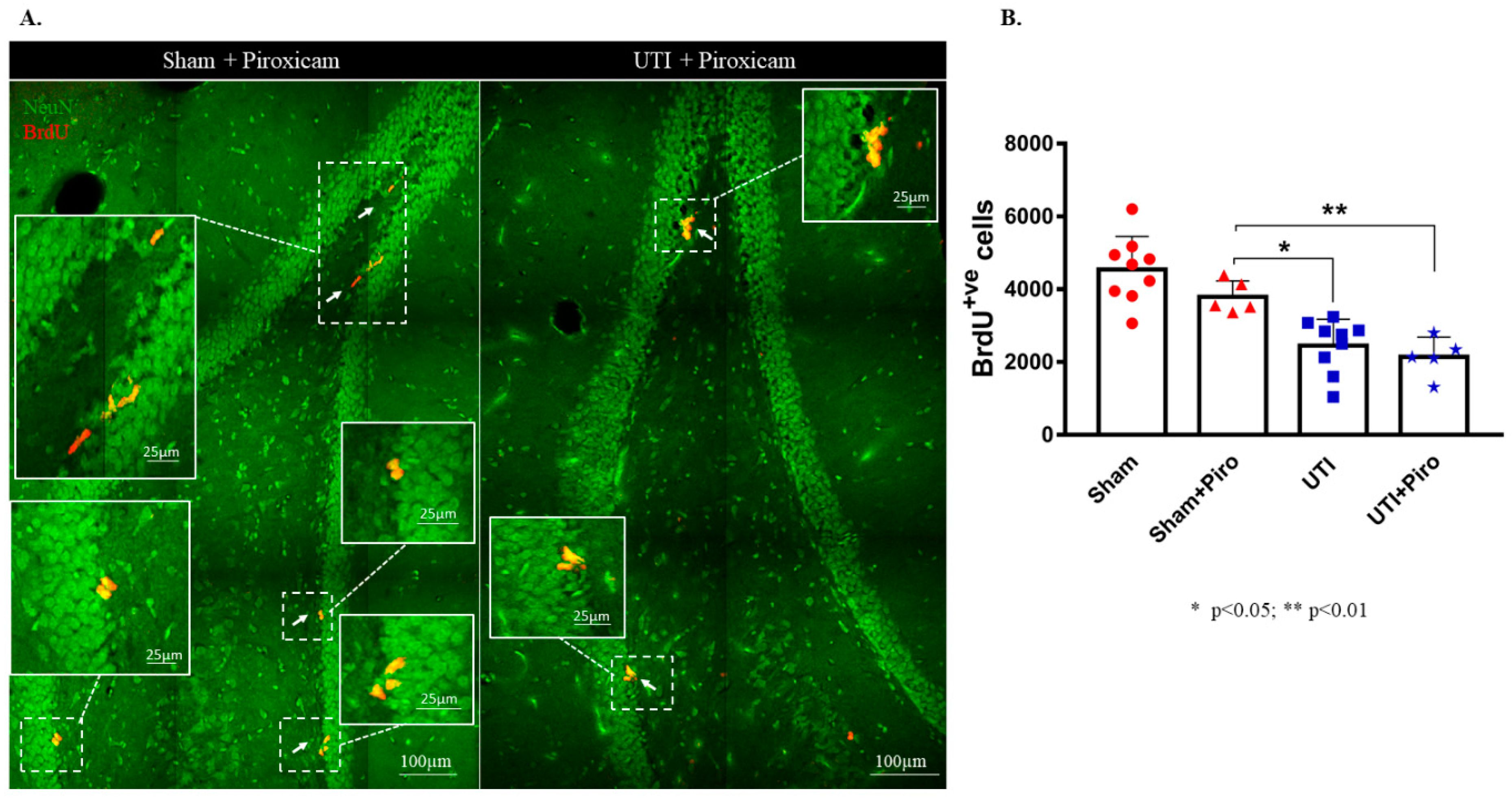 Biology 11 00891 g008 550
