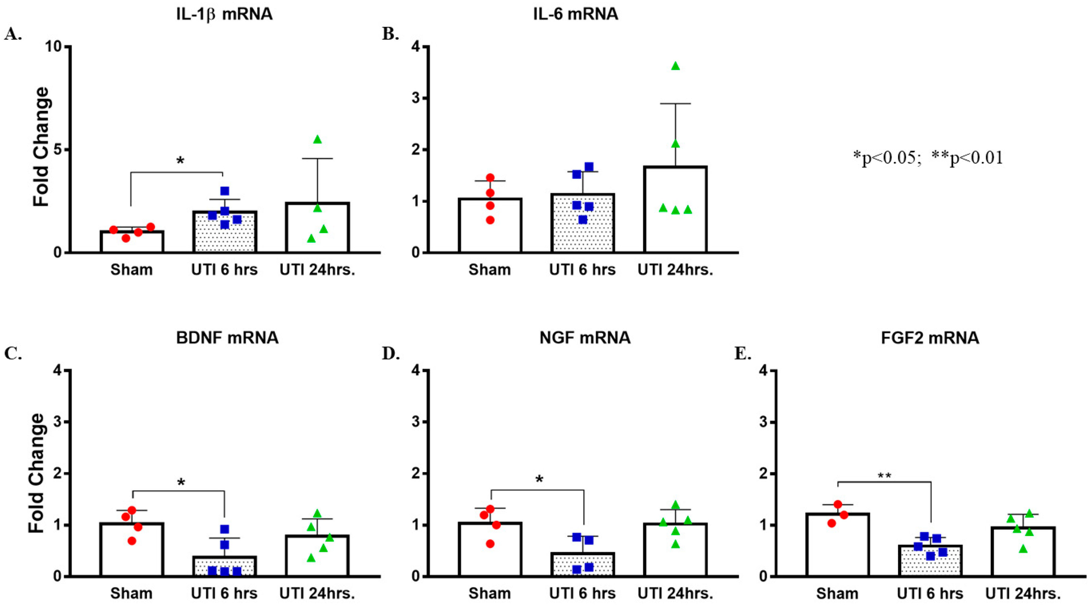 Biology 11 00891 g009 550