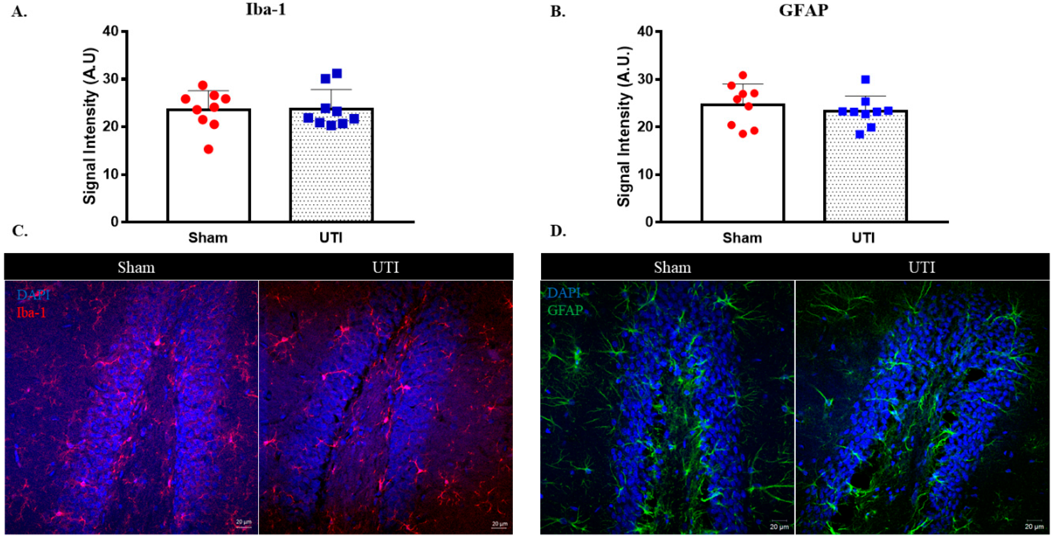 Biology 11 00891 g010 550