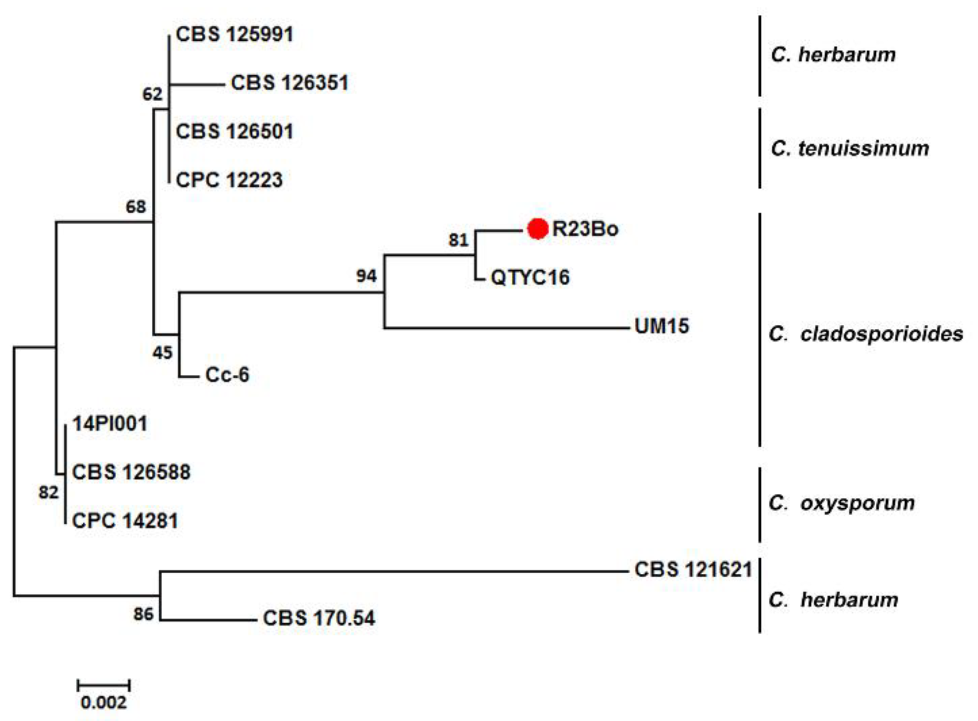Biology 11 00892 g004