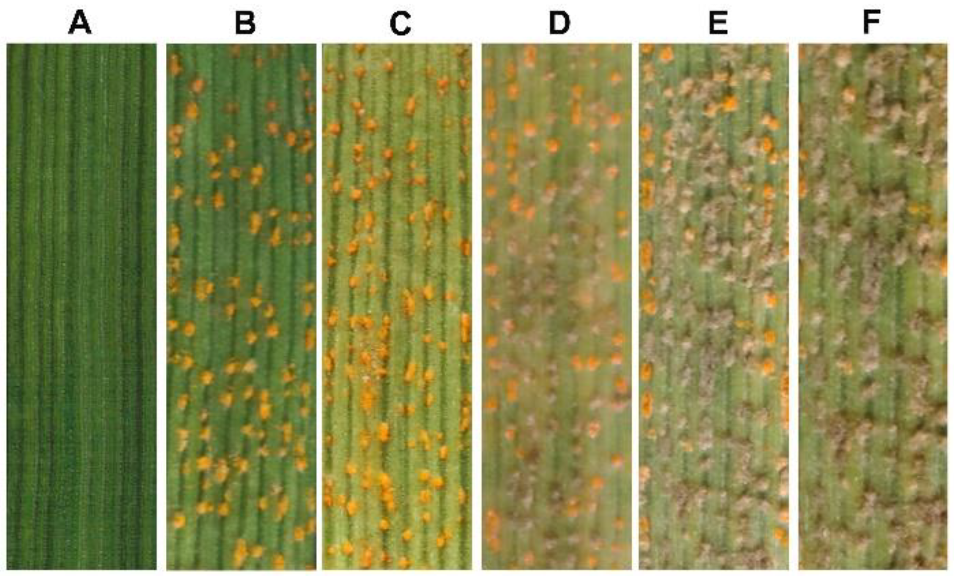 Biology 11 00892 g005