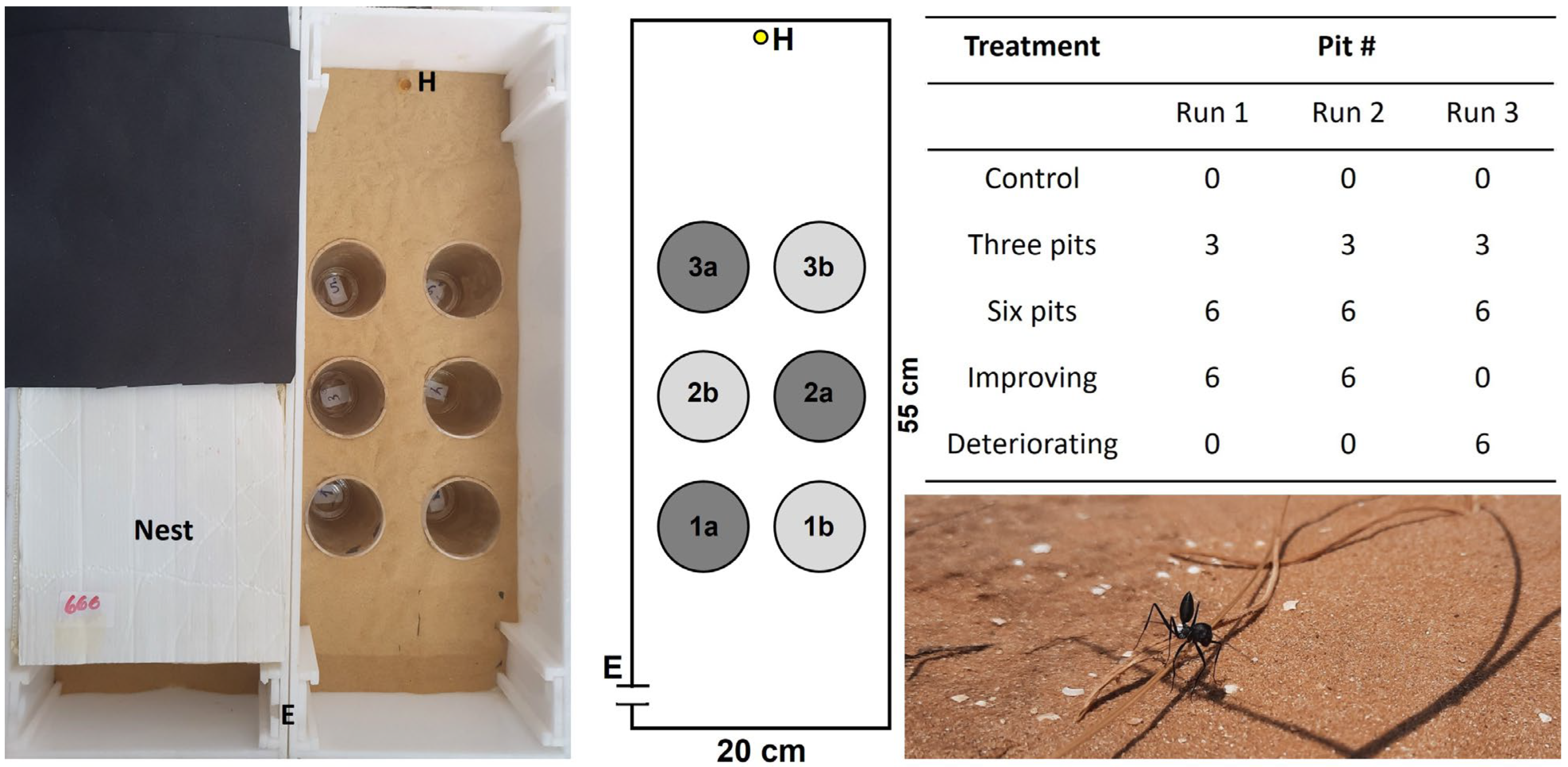Biology 11 00897 g001 Biology 11 00897 g001