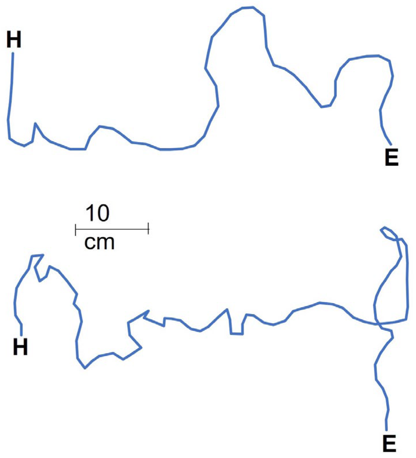 Biology 11 00897 g004 Biology 11 00897 g004