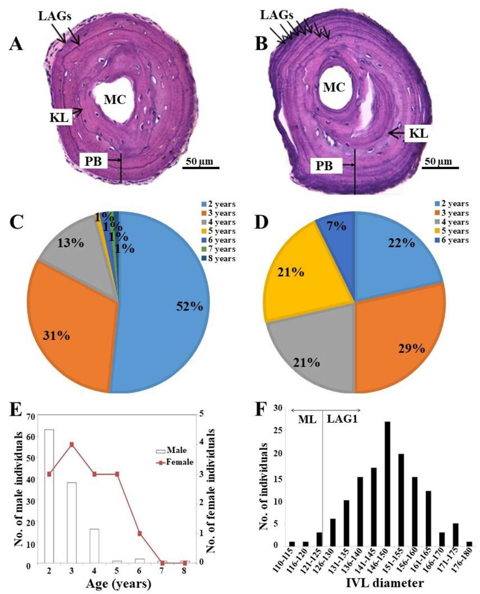 Biology 11 00898 g003 Biology 11 00898 g003