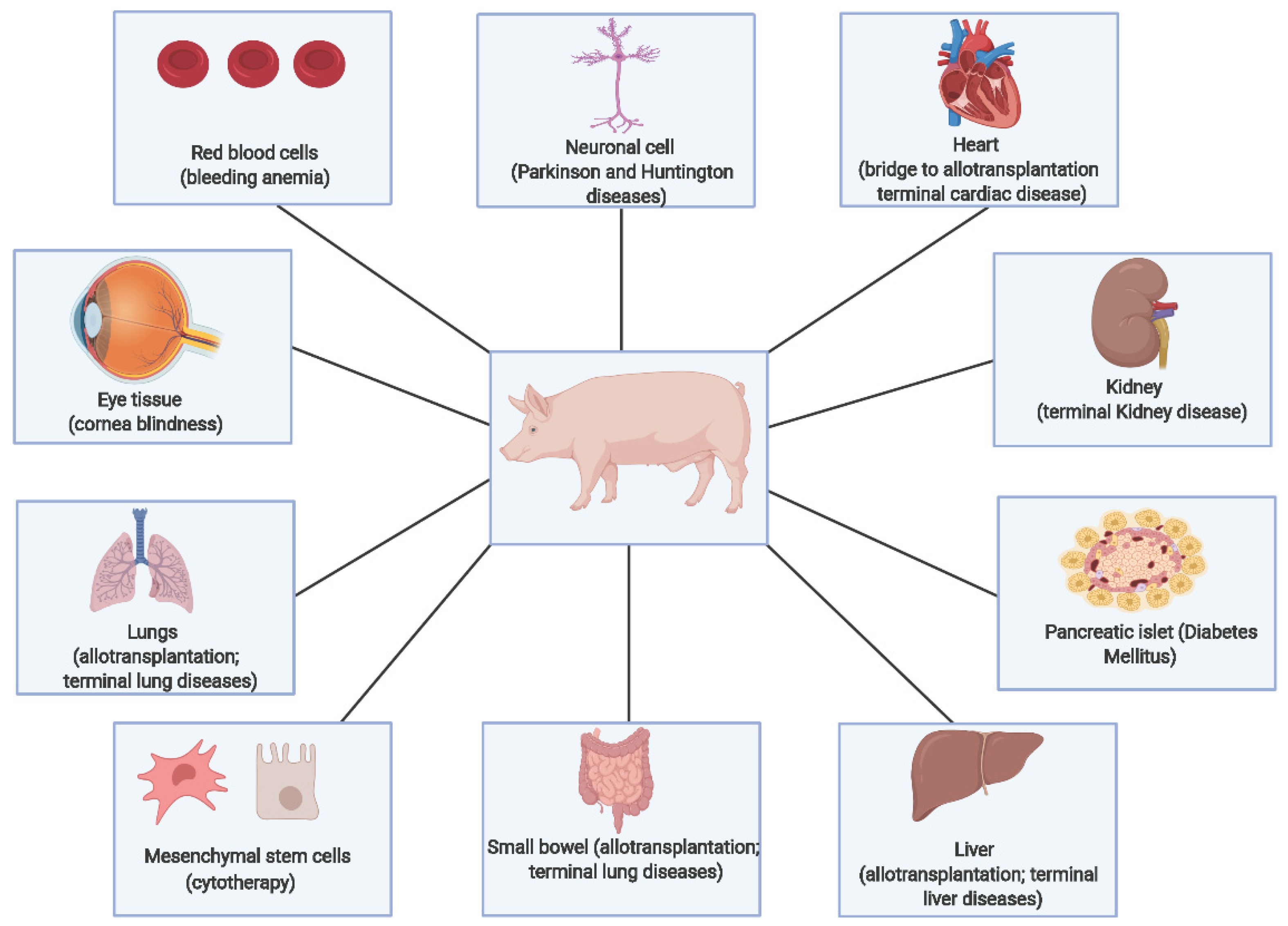 Biology 11 00903 g005 Biology 11 00903 g005