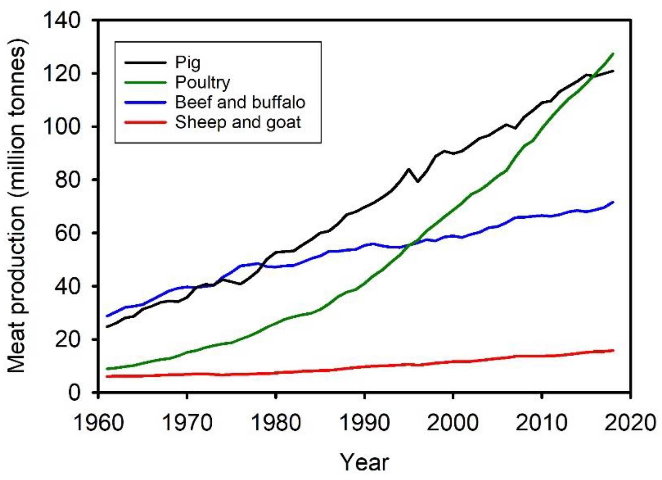 Biology 11 00905 g001