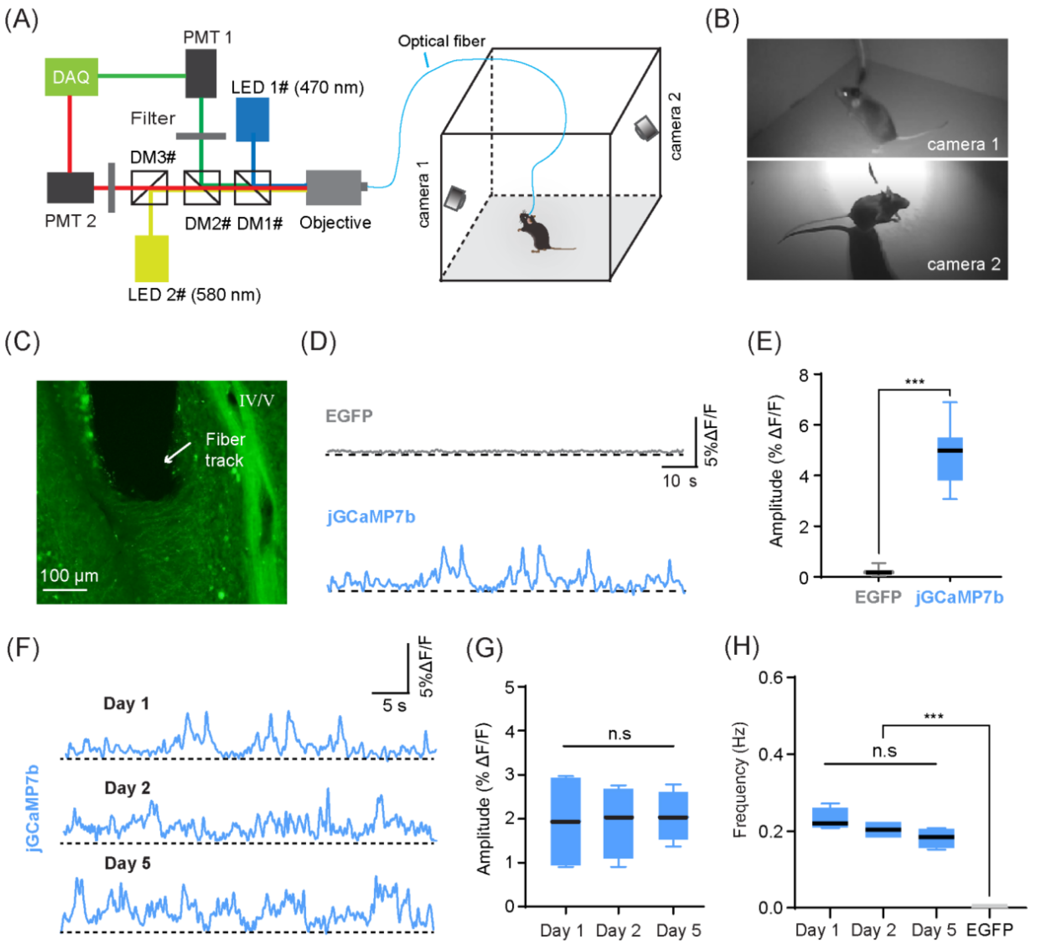 Biology 11 00907 g004