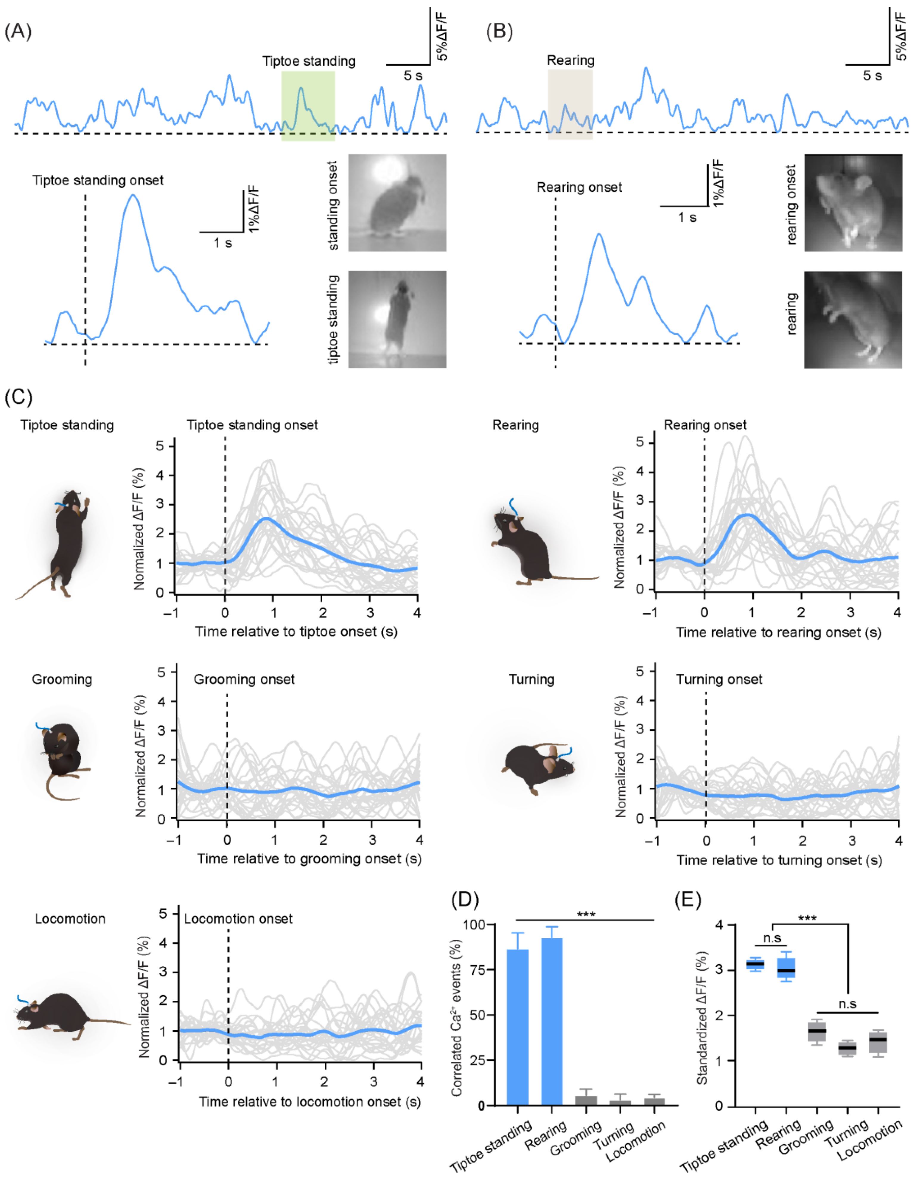 Biology 11 00907 g005