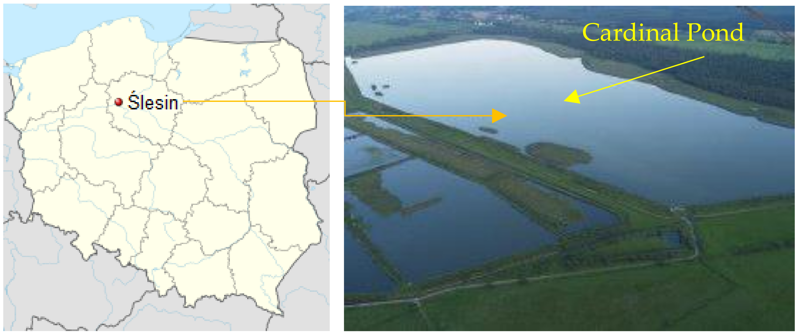 Biology 11 00913 g001