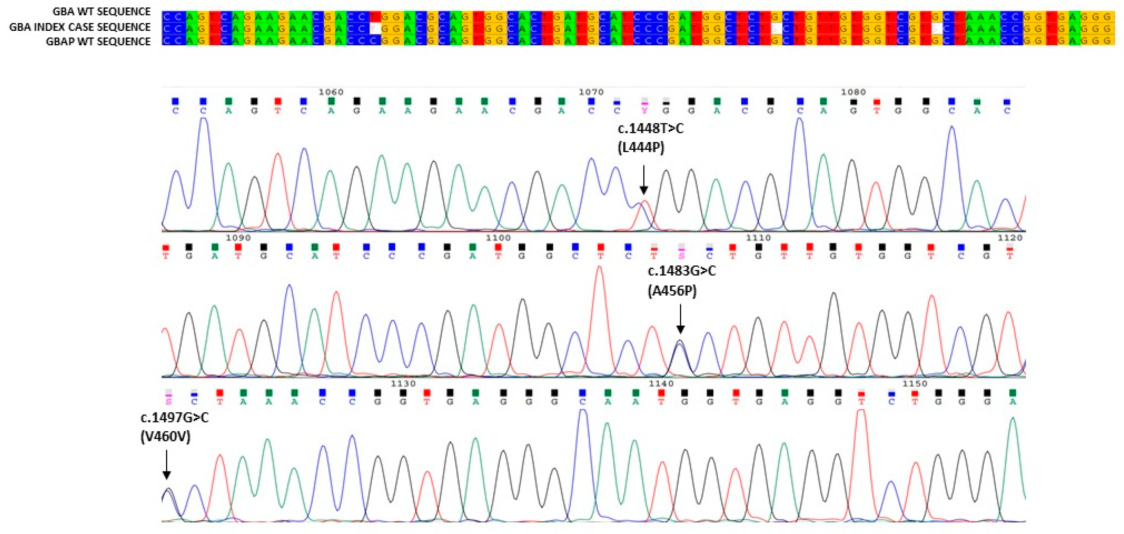 Biology 11 00914 g002