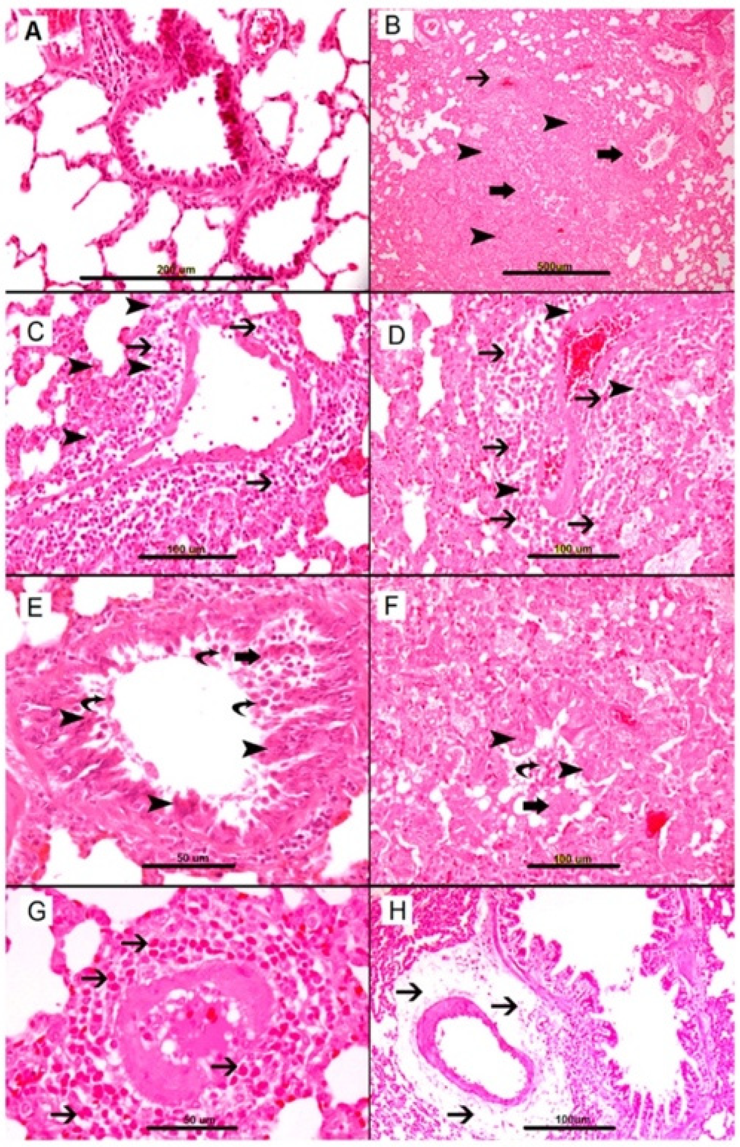 Biology 11 00919 g001