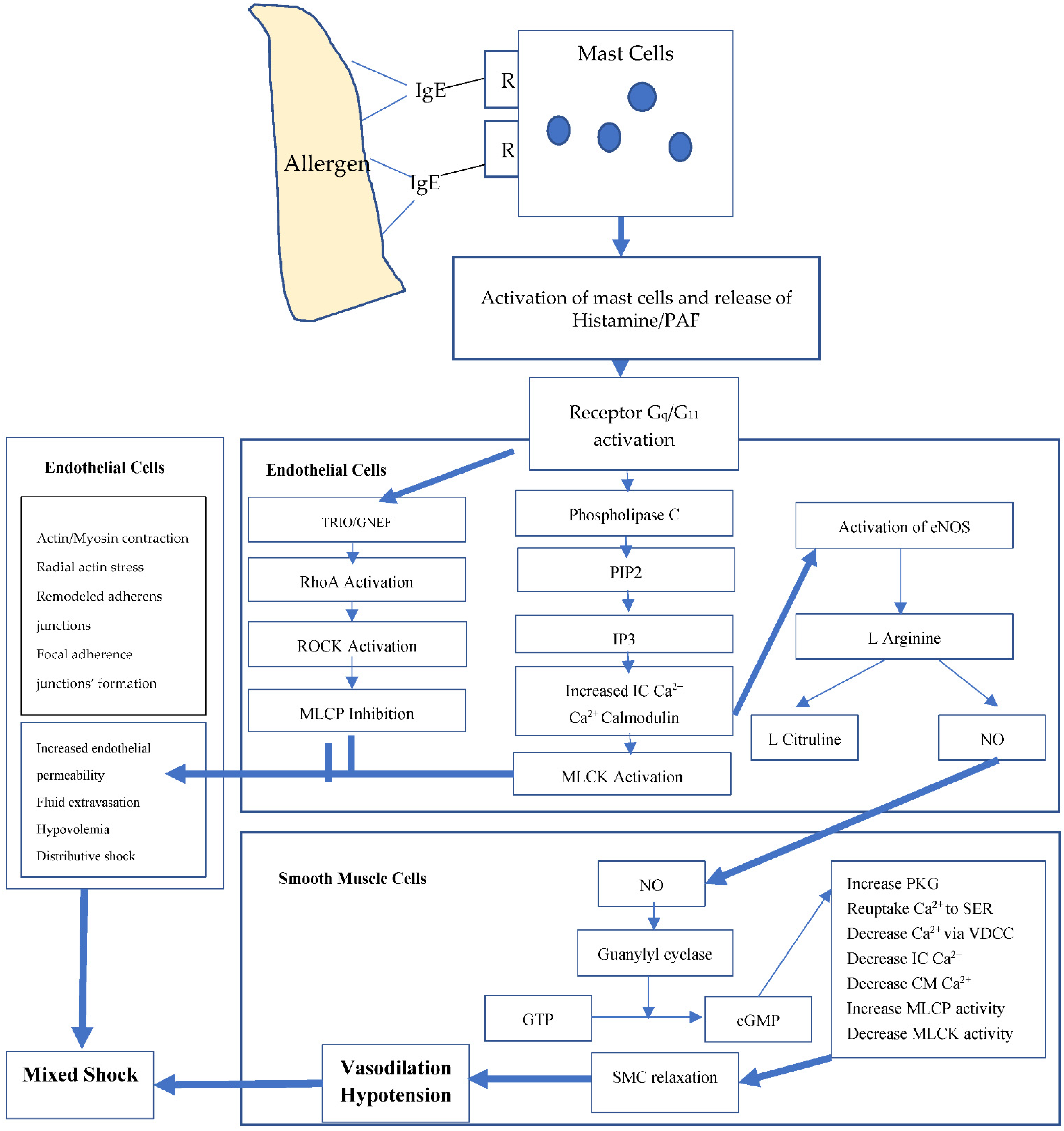 Biology 11 00919 g002