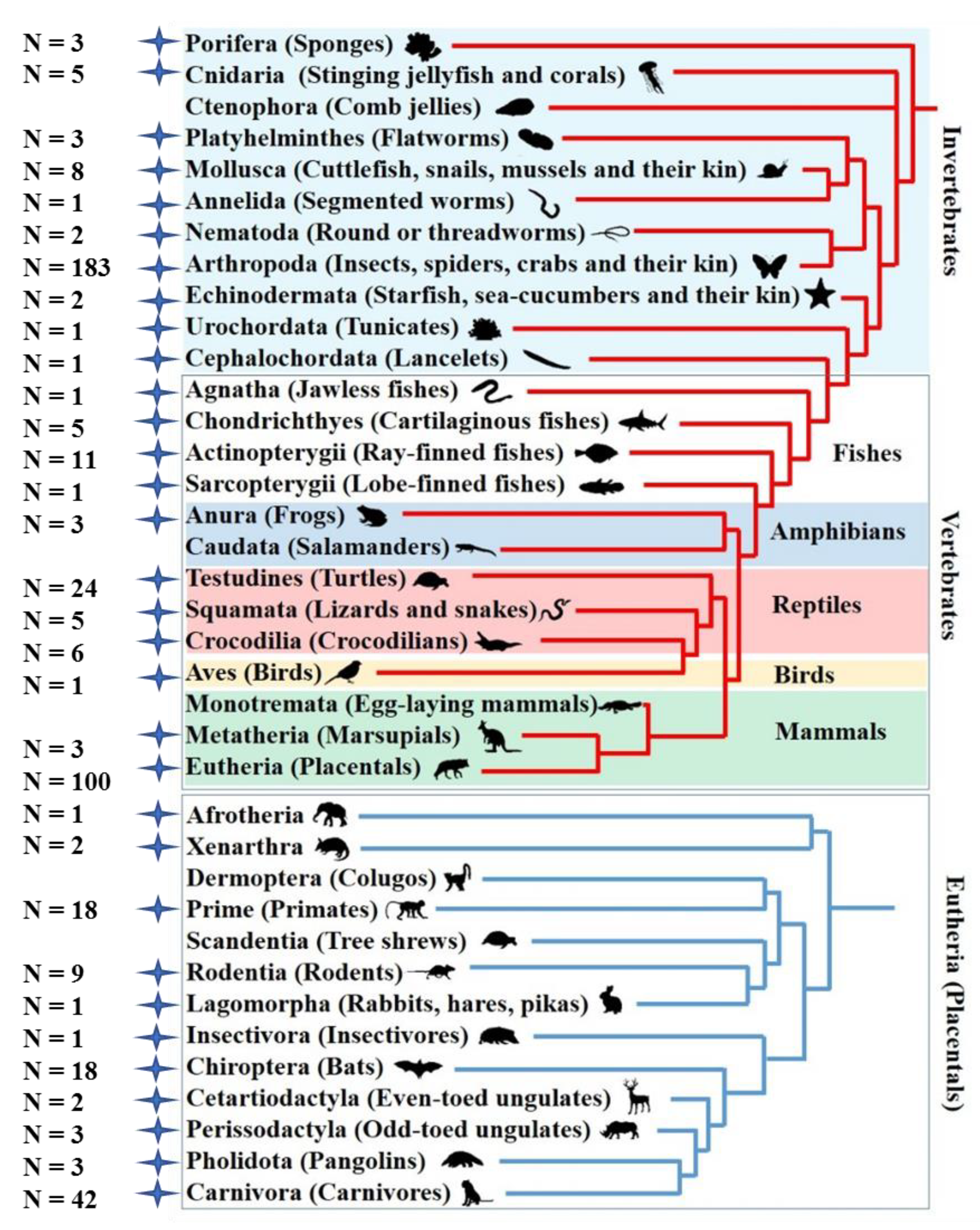 Biology 11 00921 g003 Biology 11 00921 g003