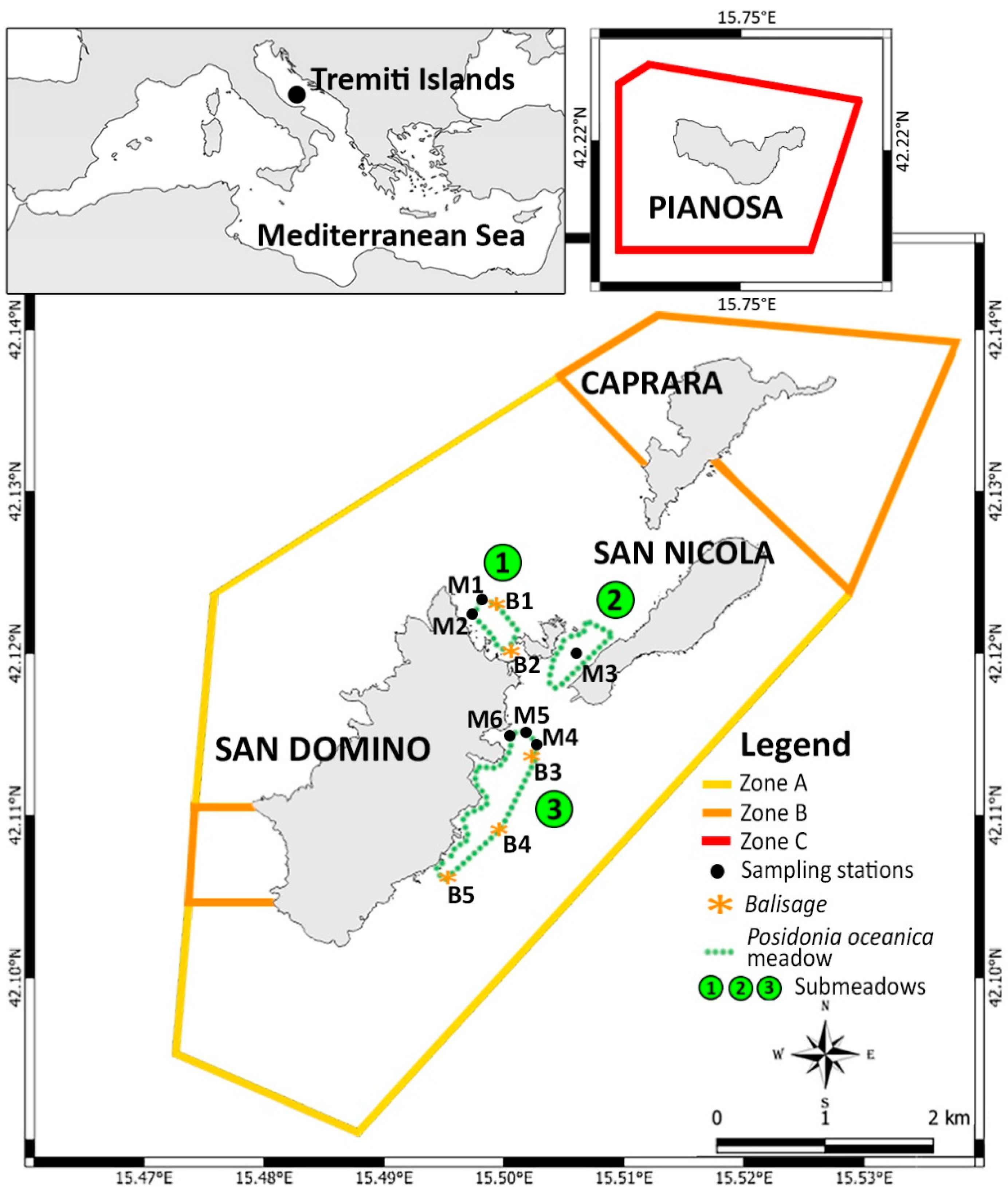 Biology 11 00923 g001 Biology 11 00923 g001