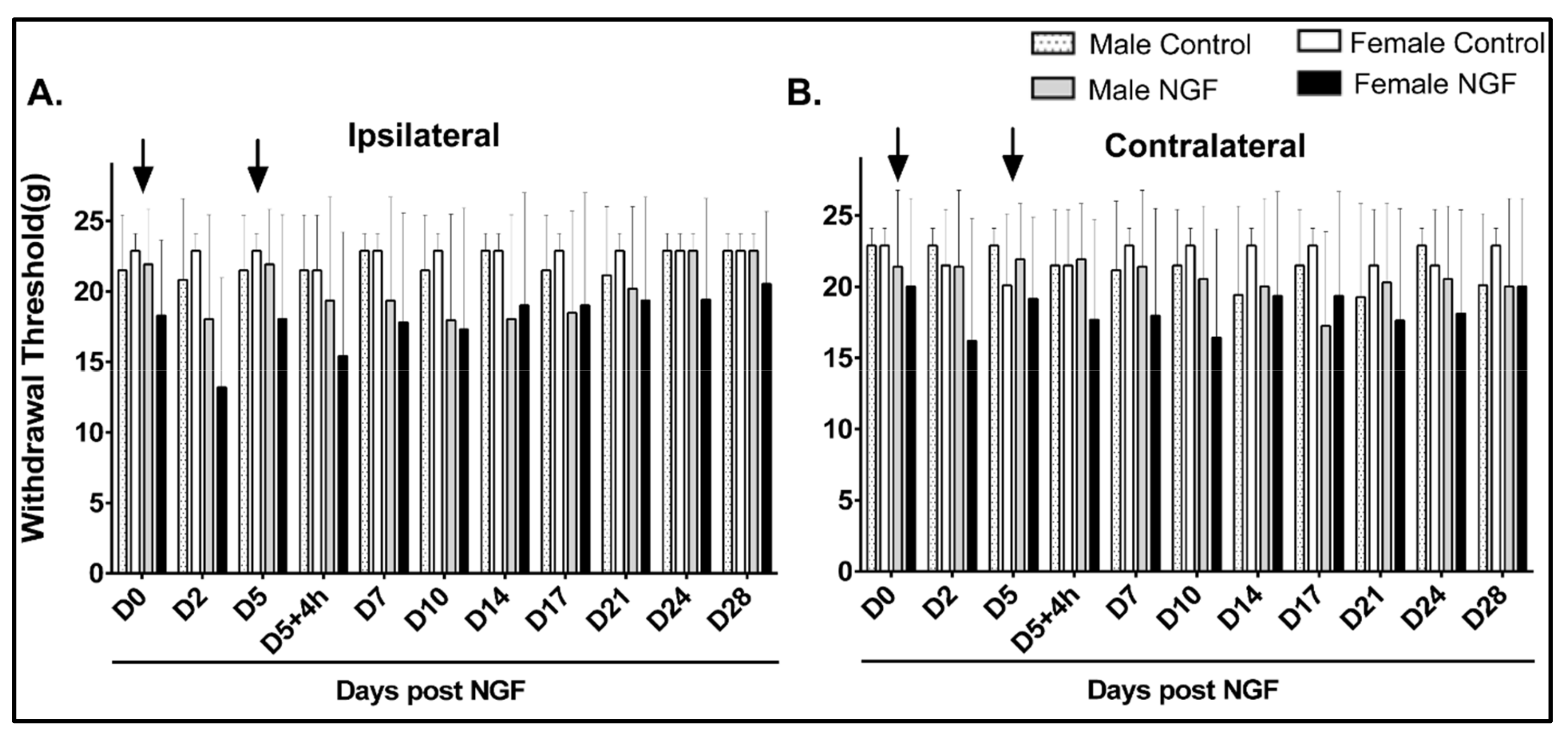 Biology 11 00924 g001