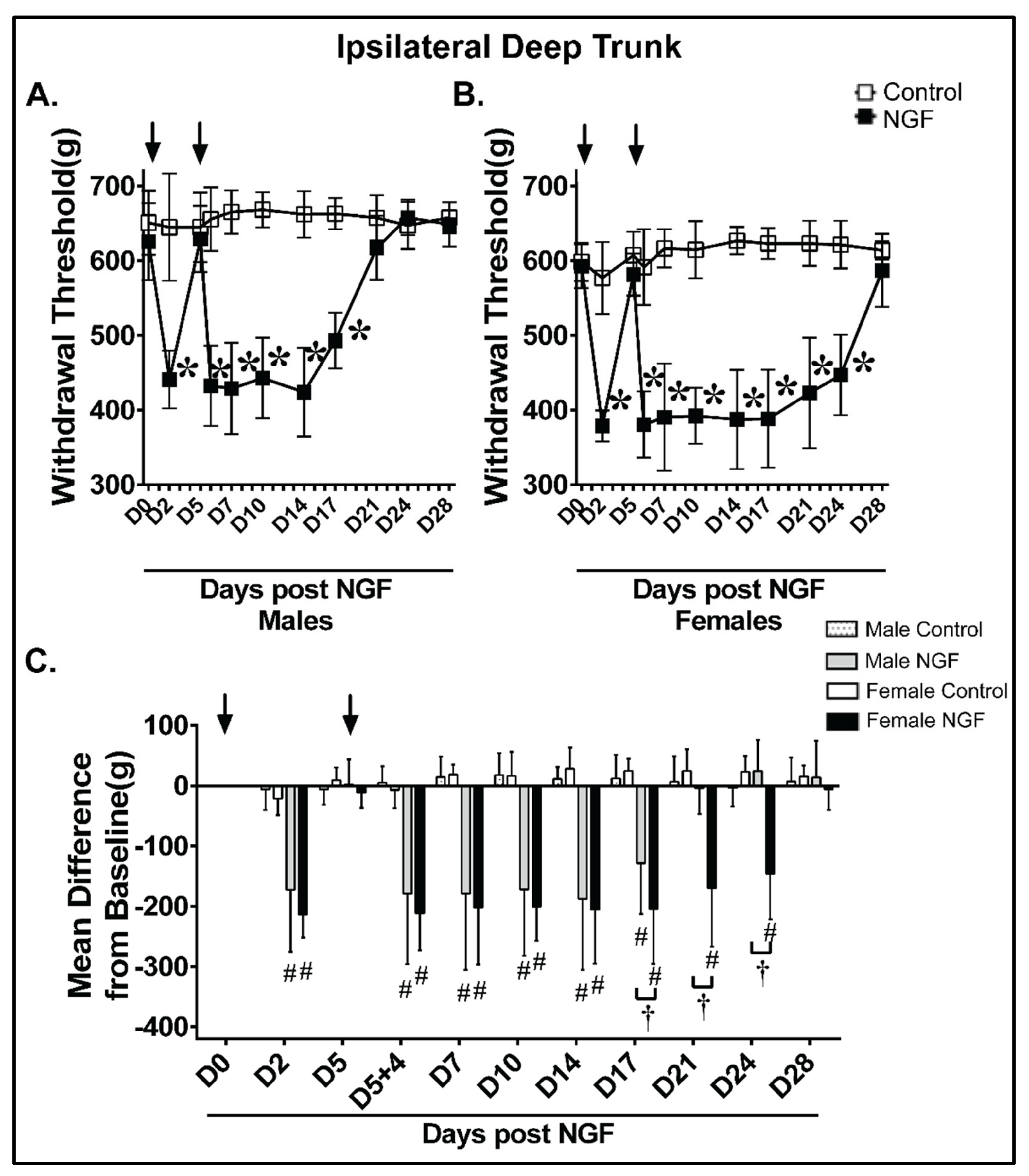 Biology 11 00924 g004