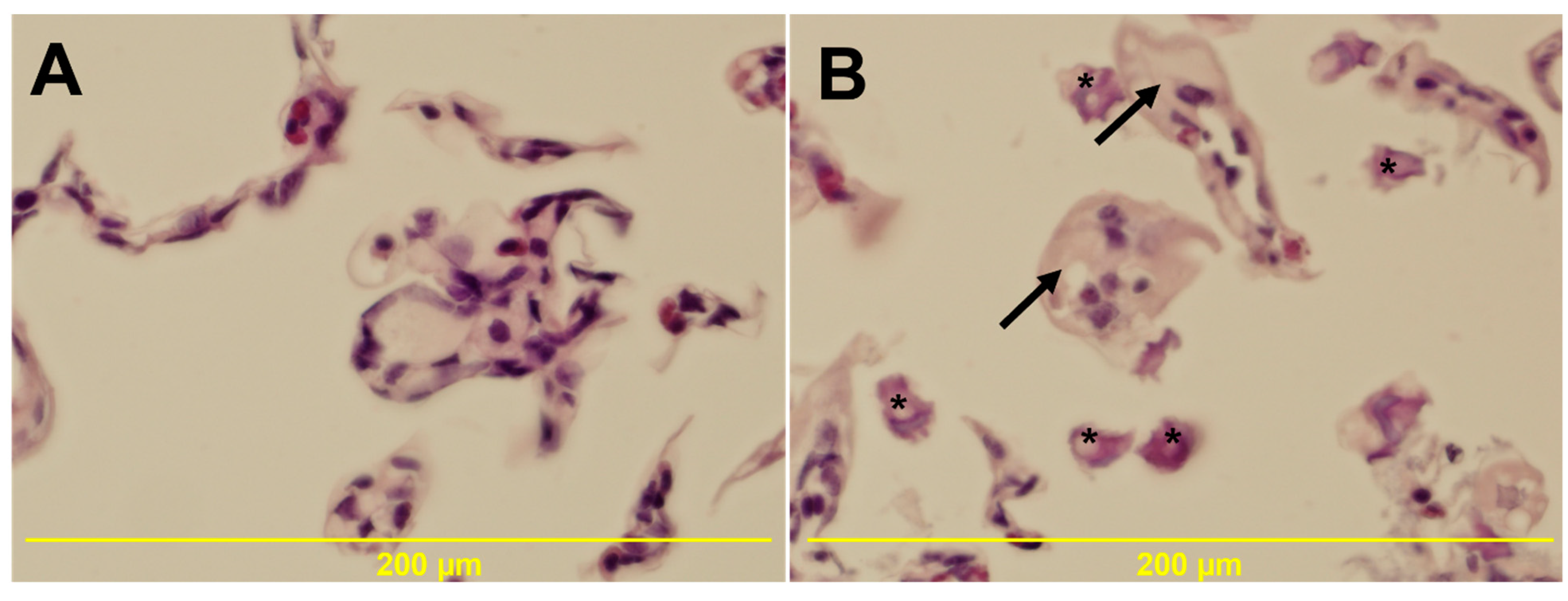 Biology 11 00927 g004