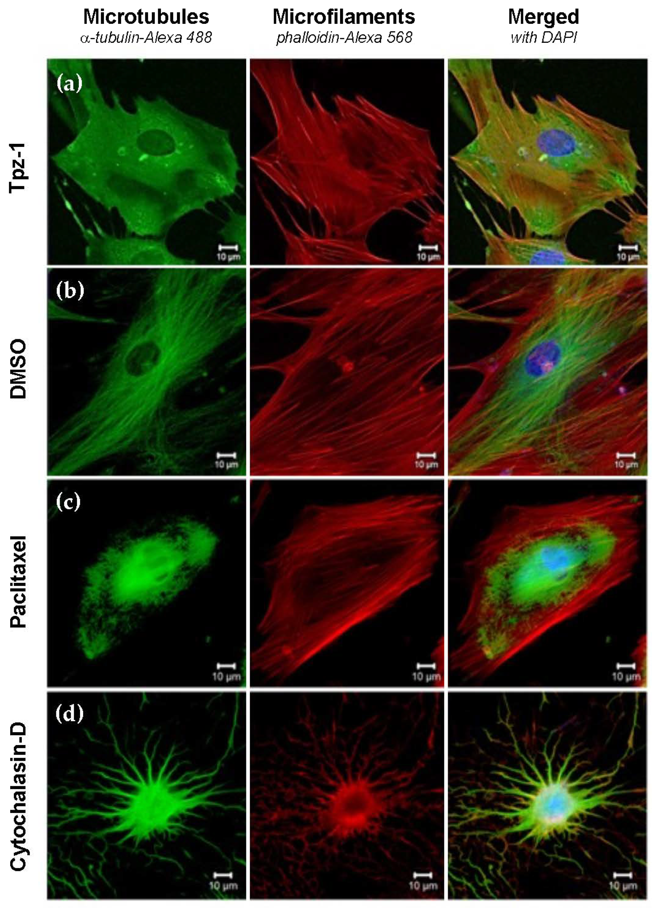 Biology 11 00930 g006 550