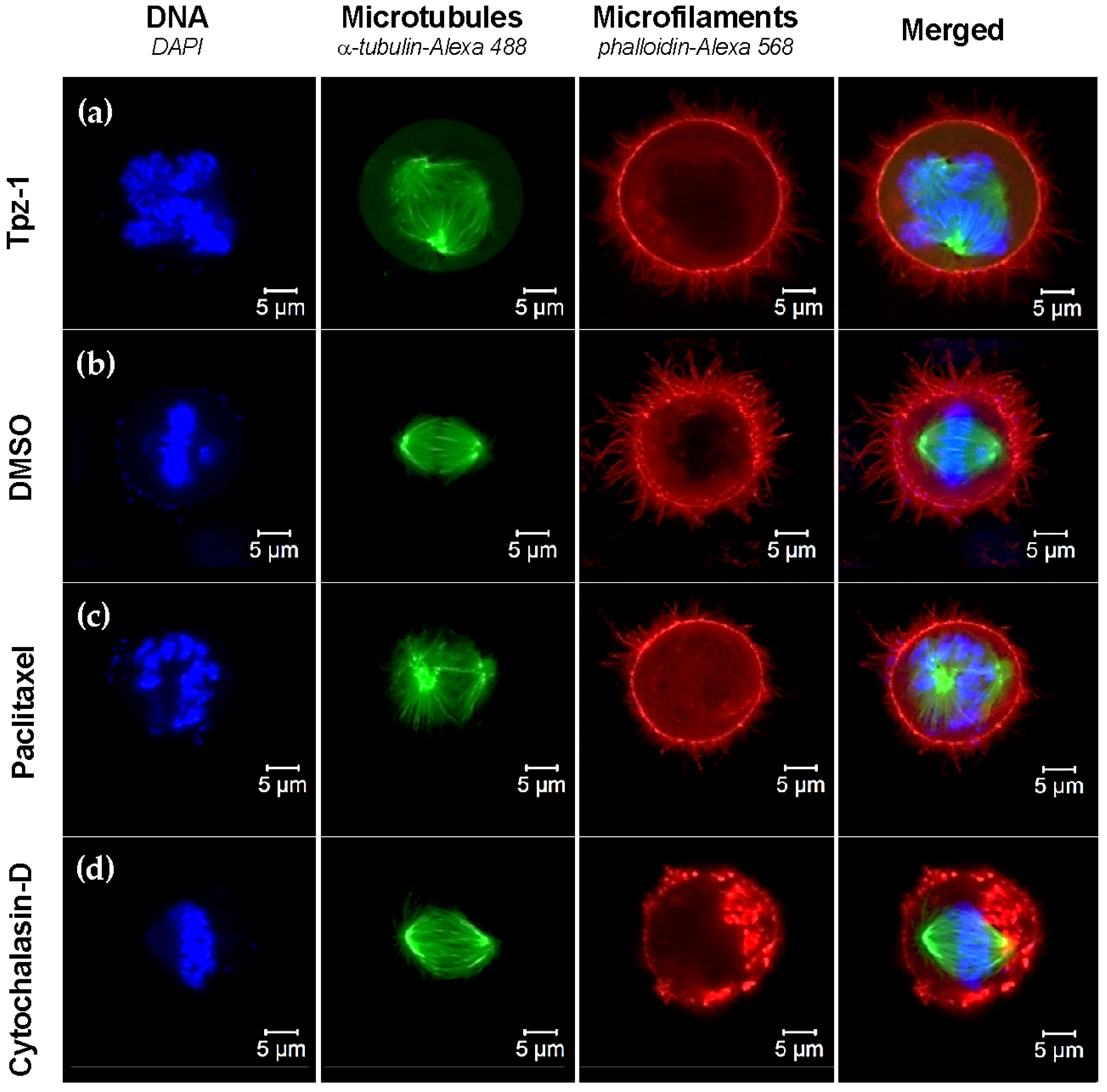 Biology 11 00930 g007 550