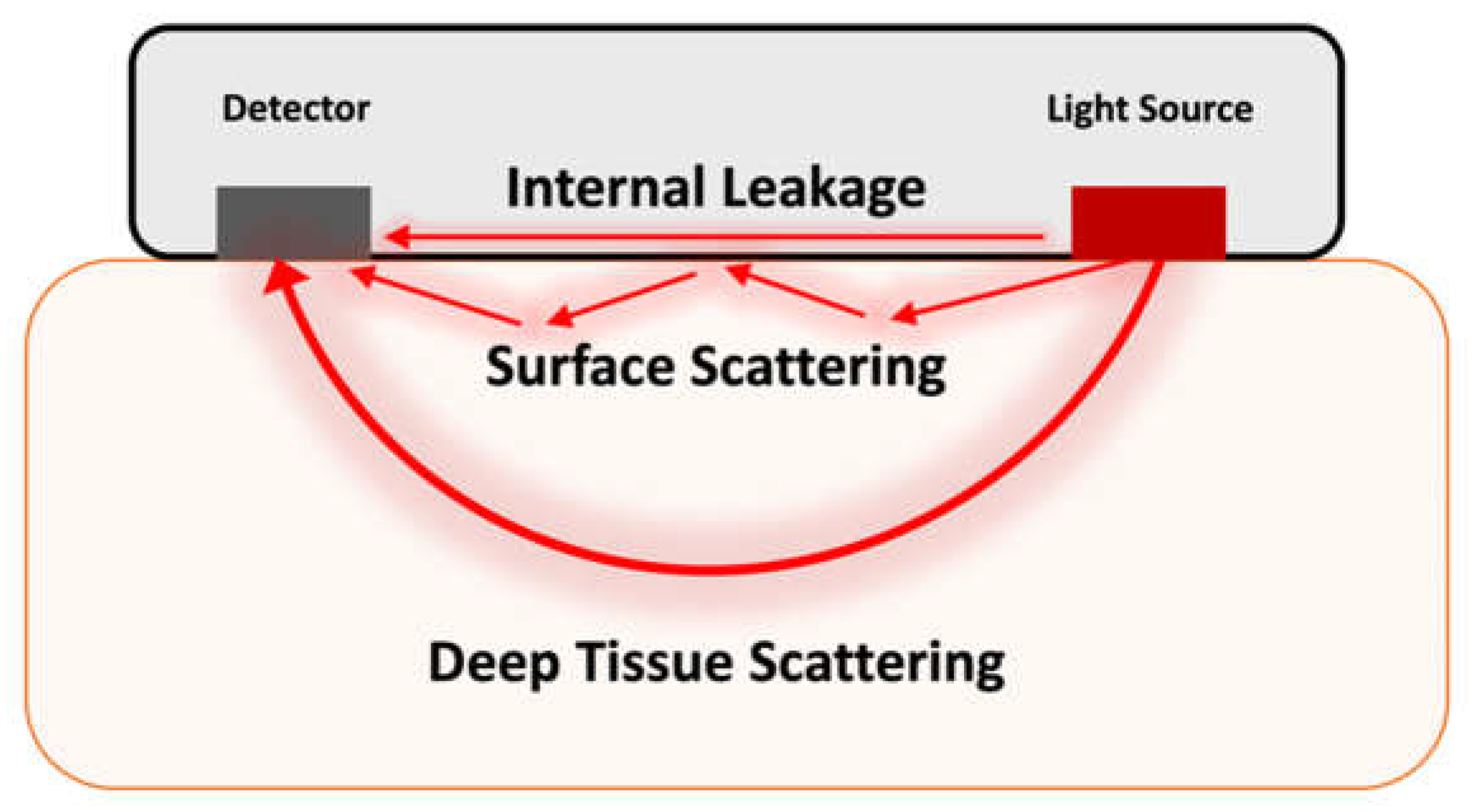 Biology 11 00932 g001 Biology 11 00932 g001