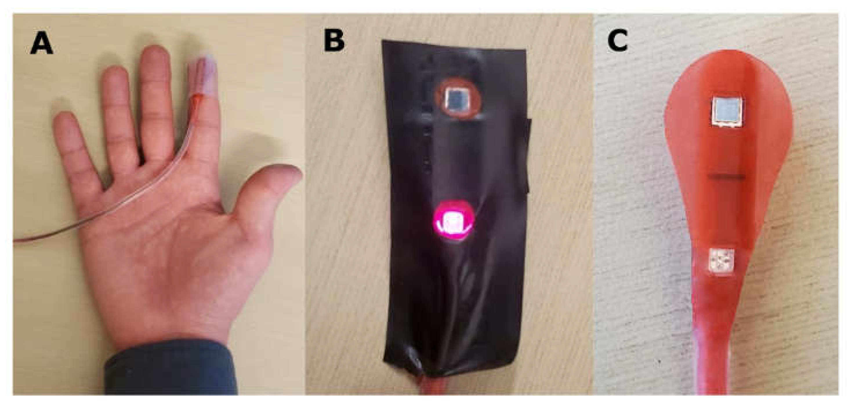 Biology 11 00932 g003 Biology 11 00932 g003