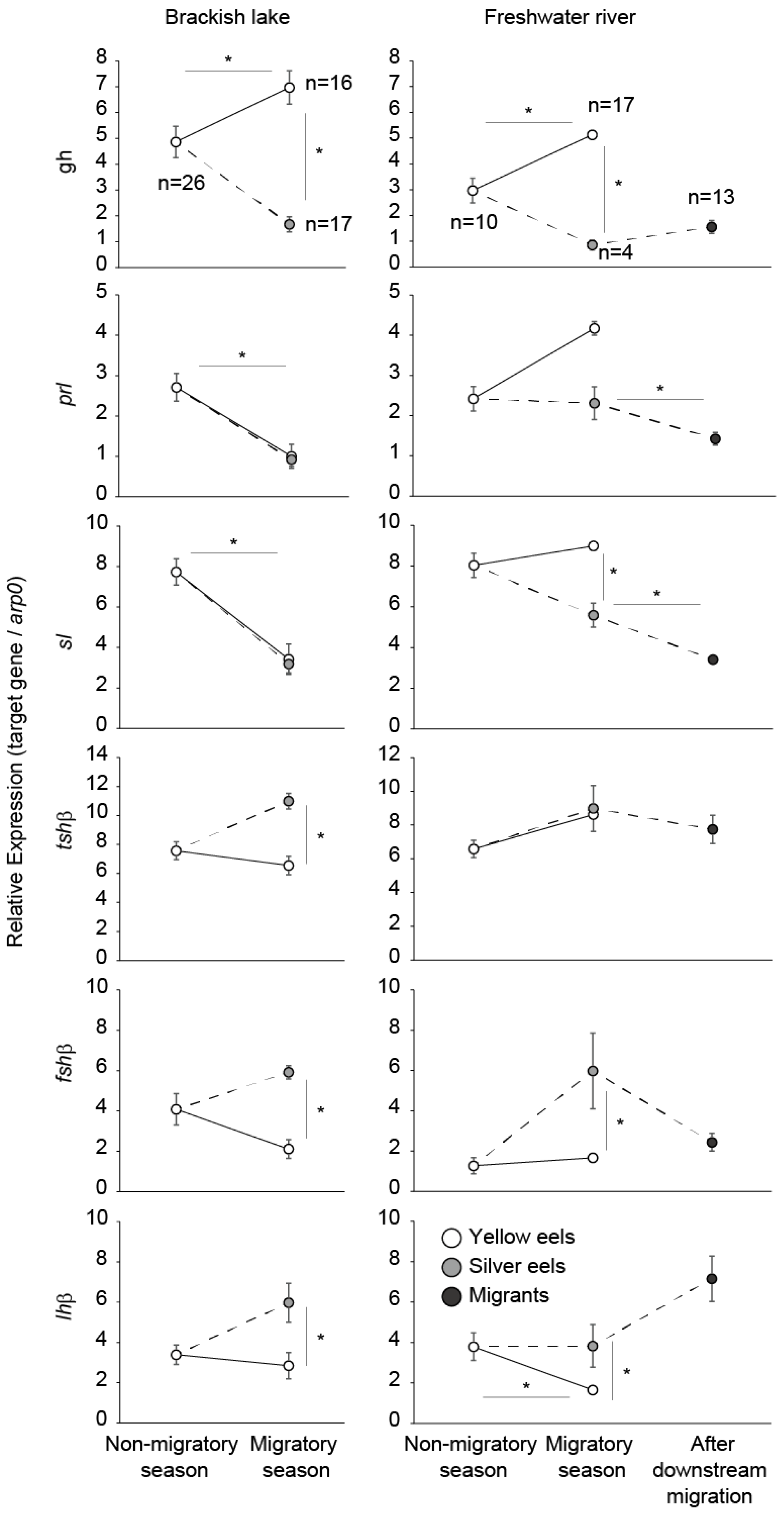 Biology 11 00934 g003
