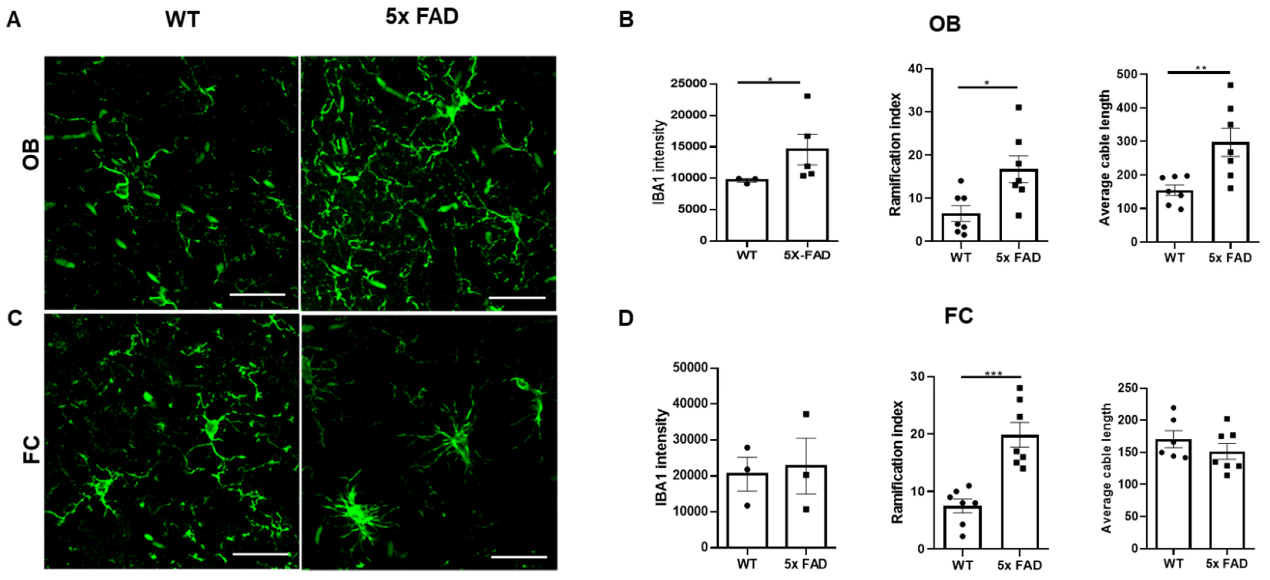 Biology 11 00938 g004