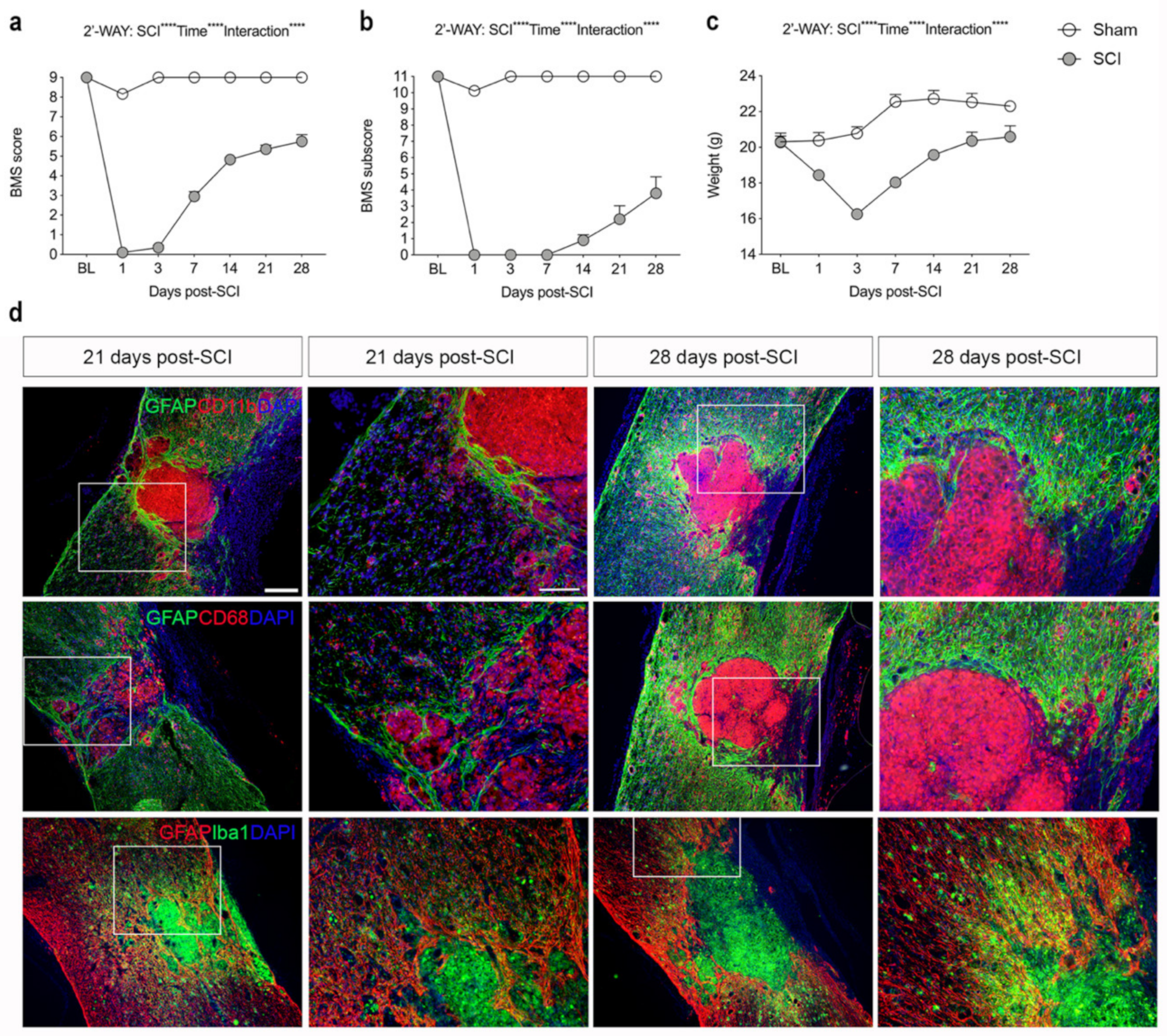Biology 11 00939 g001
