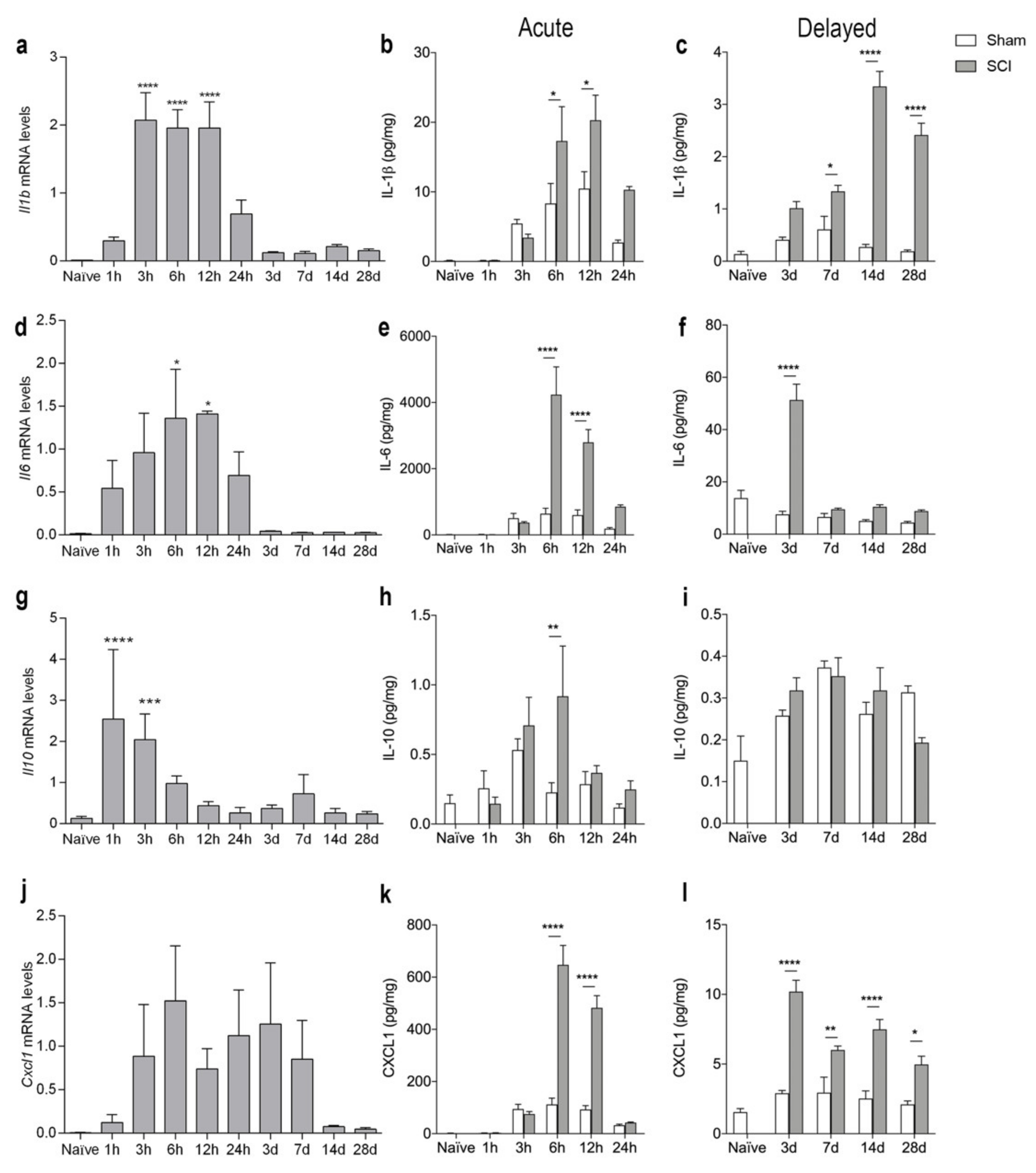 Biology 11 00939 g005