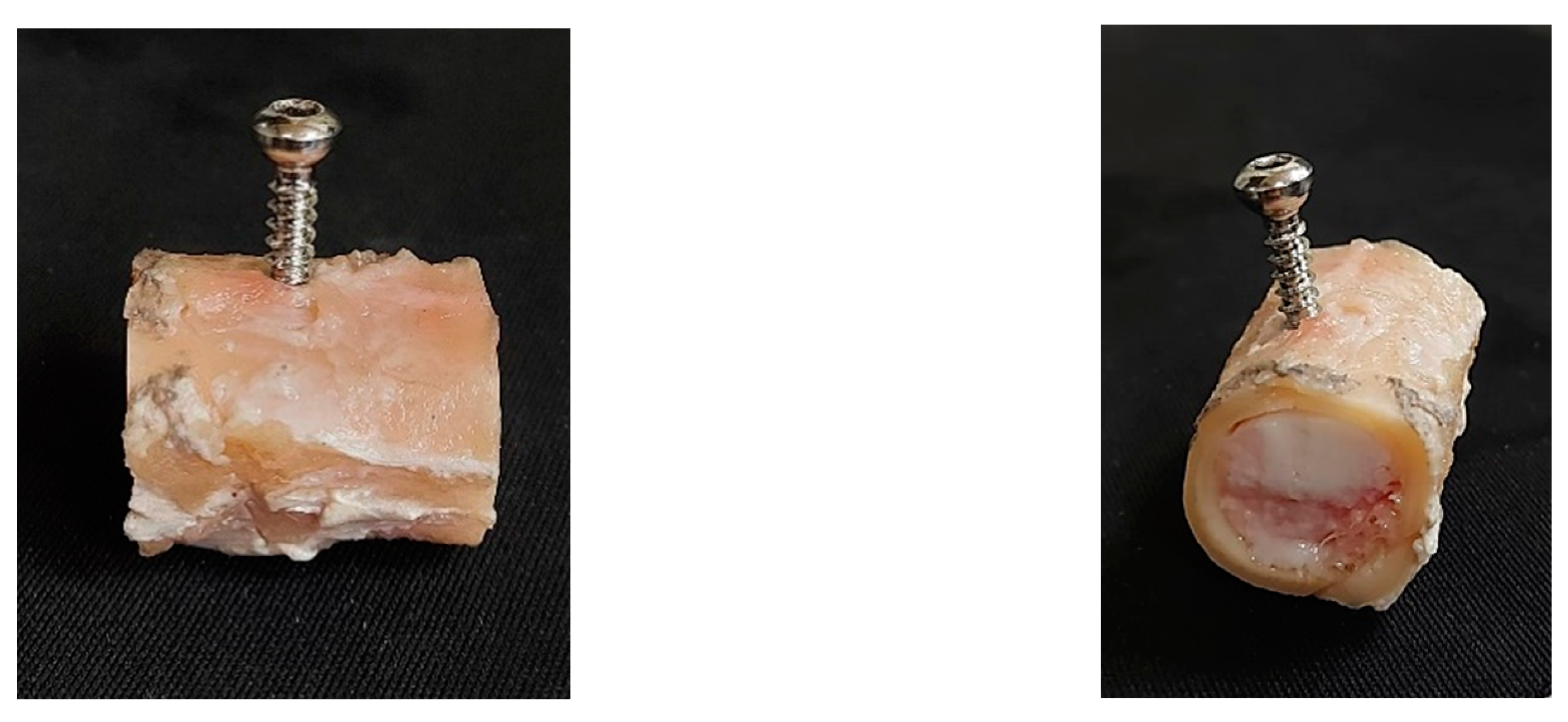 Biology 11 00940 g002 550