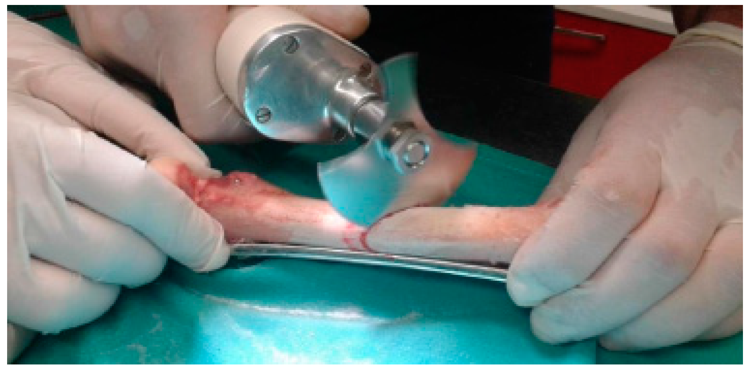 Biology 11 00940 g003 550