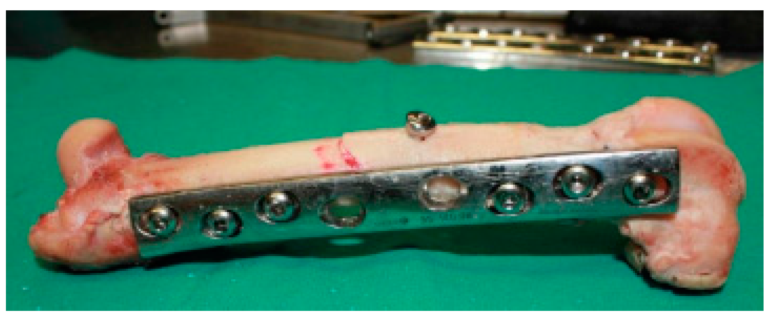 Biology 11 00940 g004 550