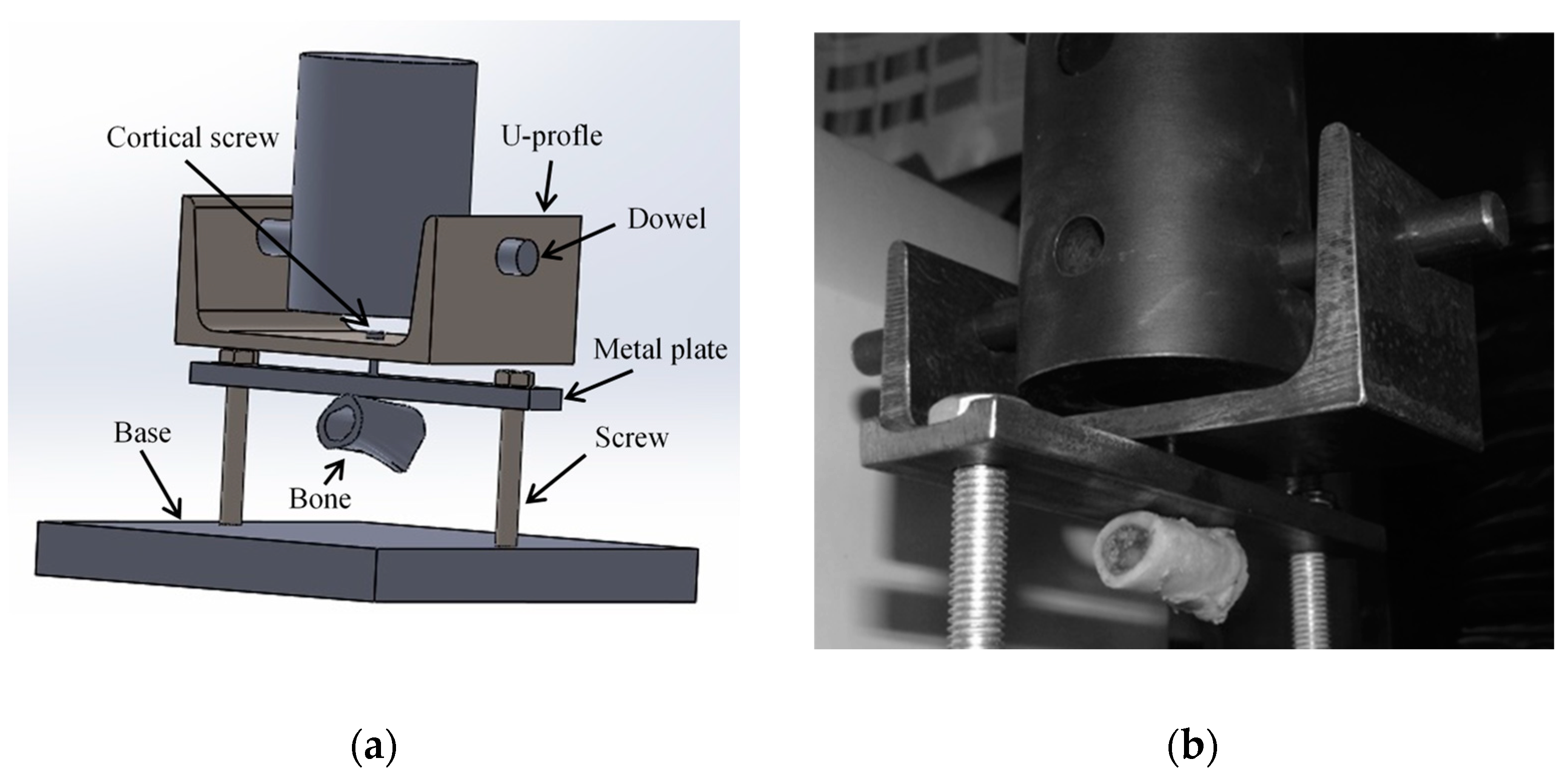 Biology 11 00940 g005 550