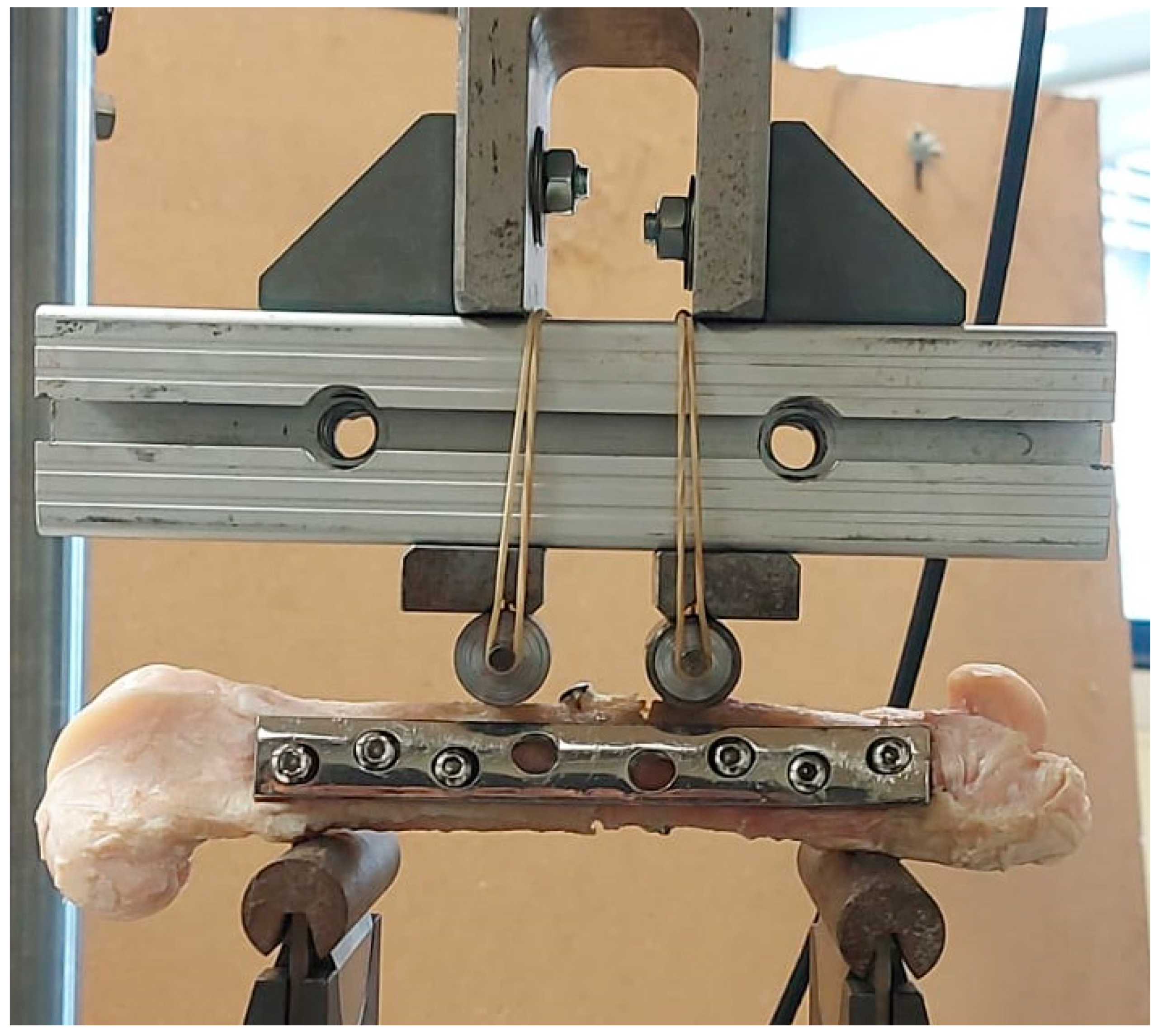 Biology 11 00940 g006 550