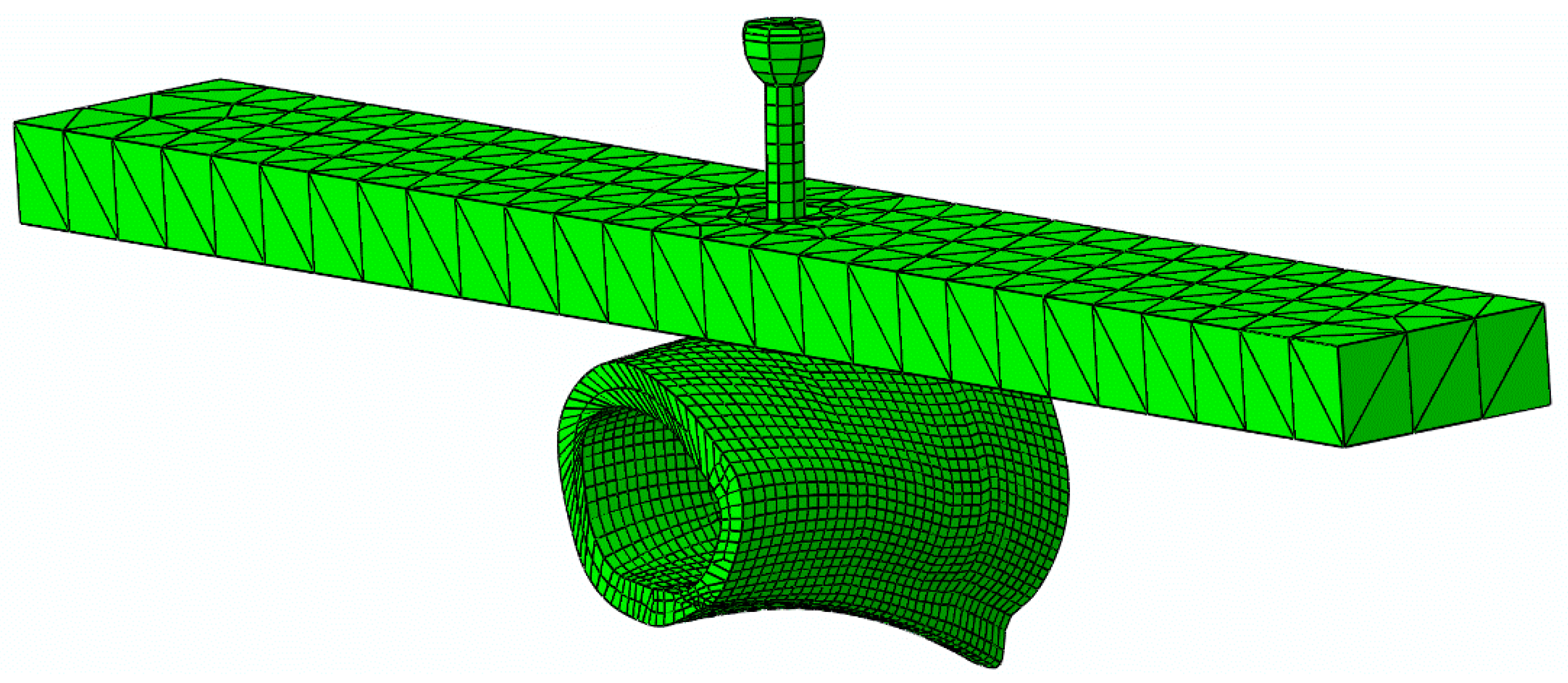 Biology 11 00940 g007 550