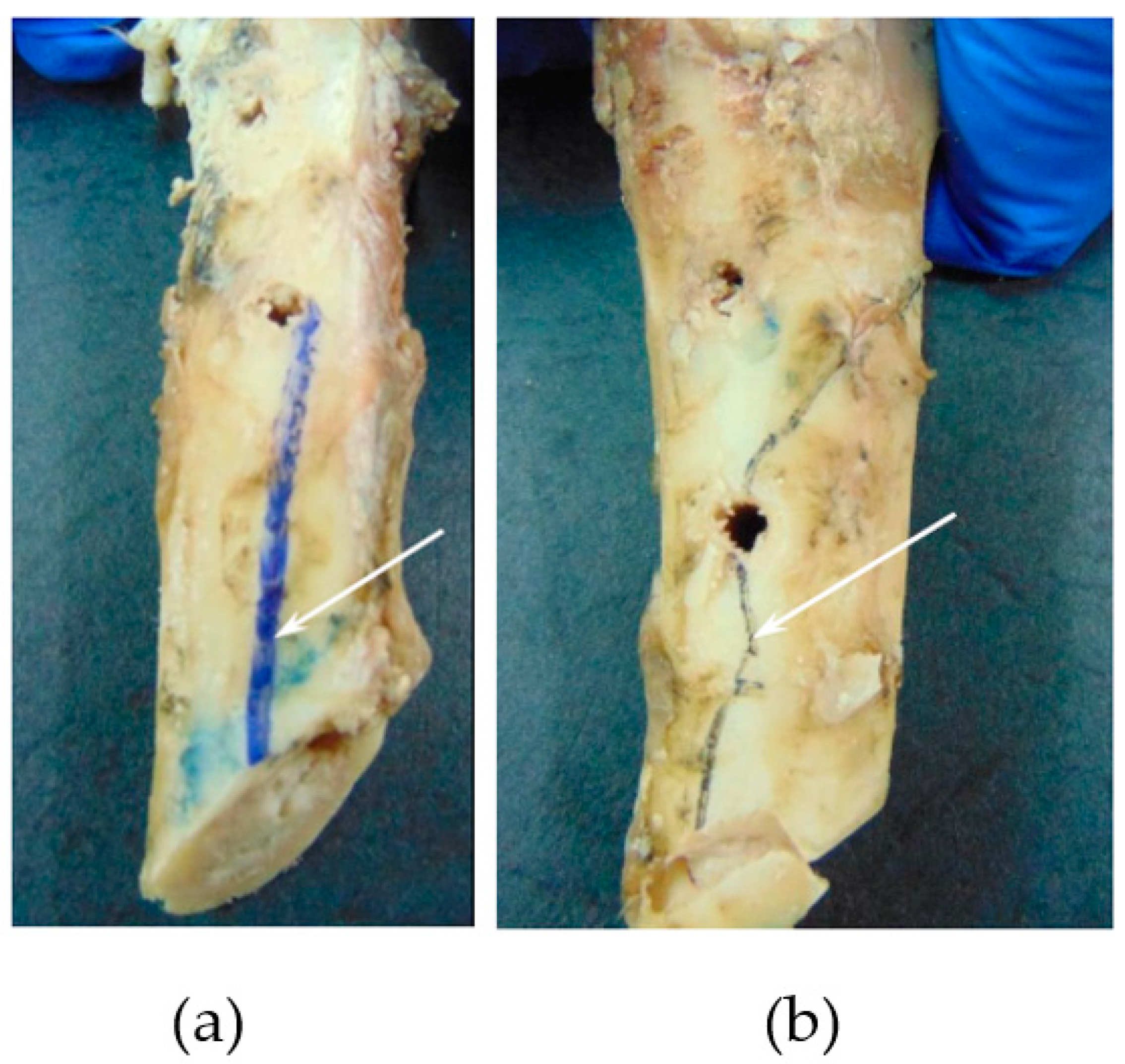 Biology 11 00940 g012 550