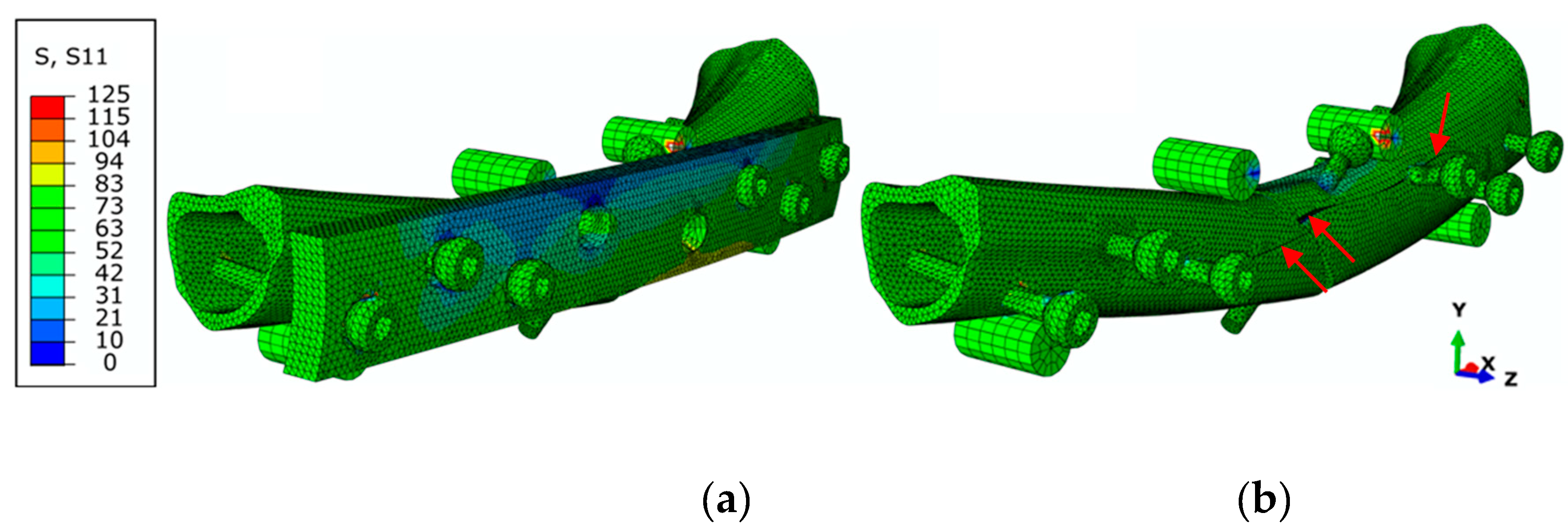 Biology 11 00940 g014 550