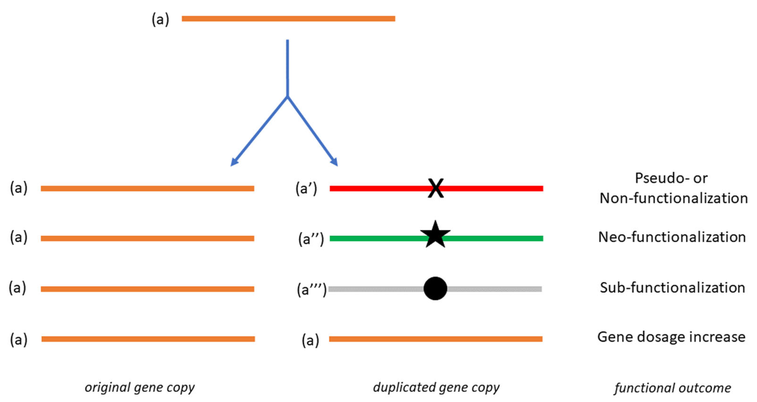 Biology 11 00941 g001 550