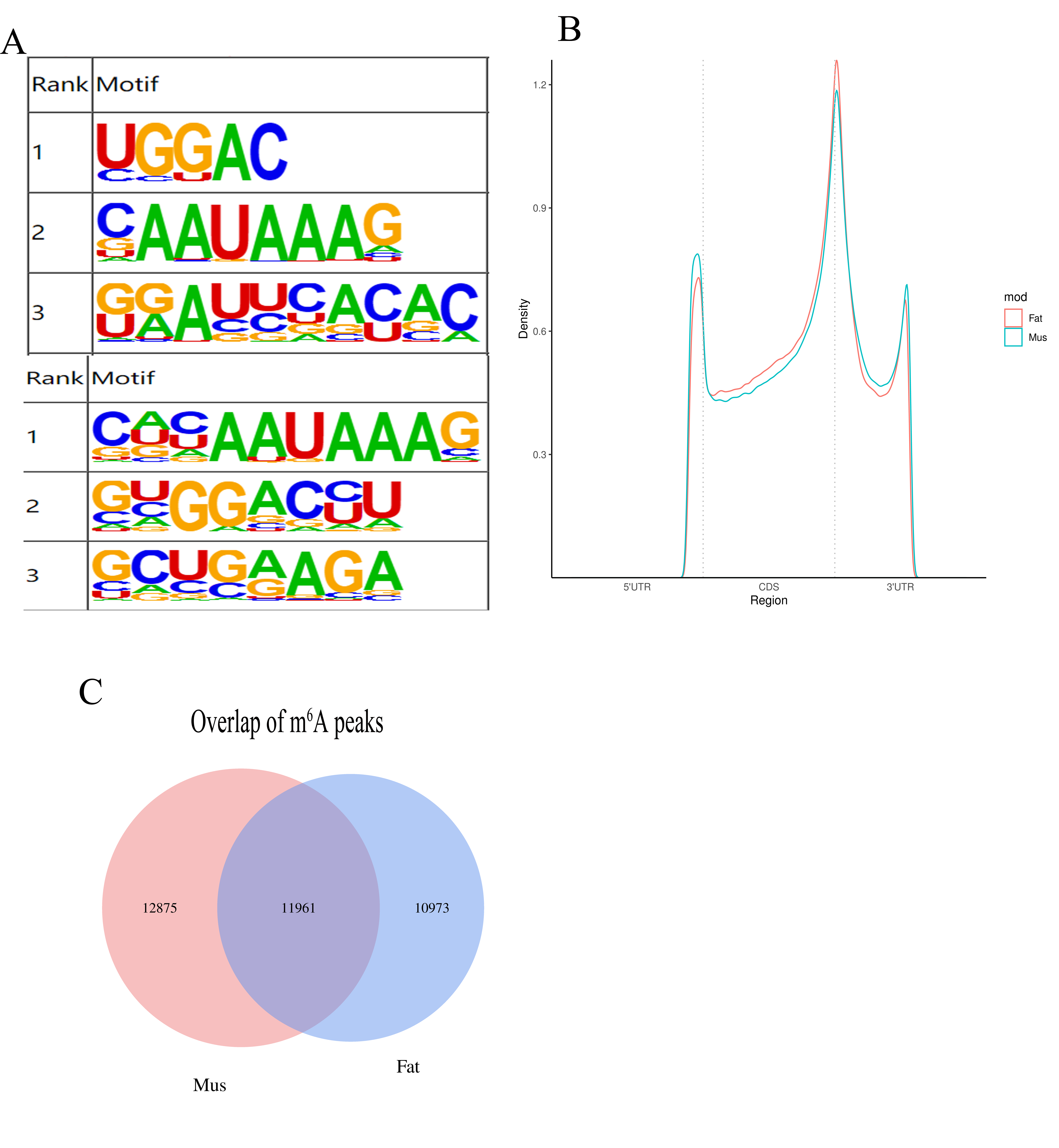 N6-Methyladenosine Methylome Profiling of Muscle and Adipose