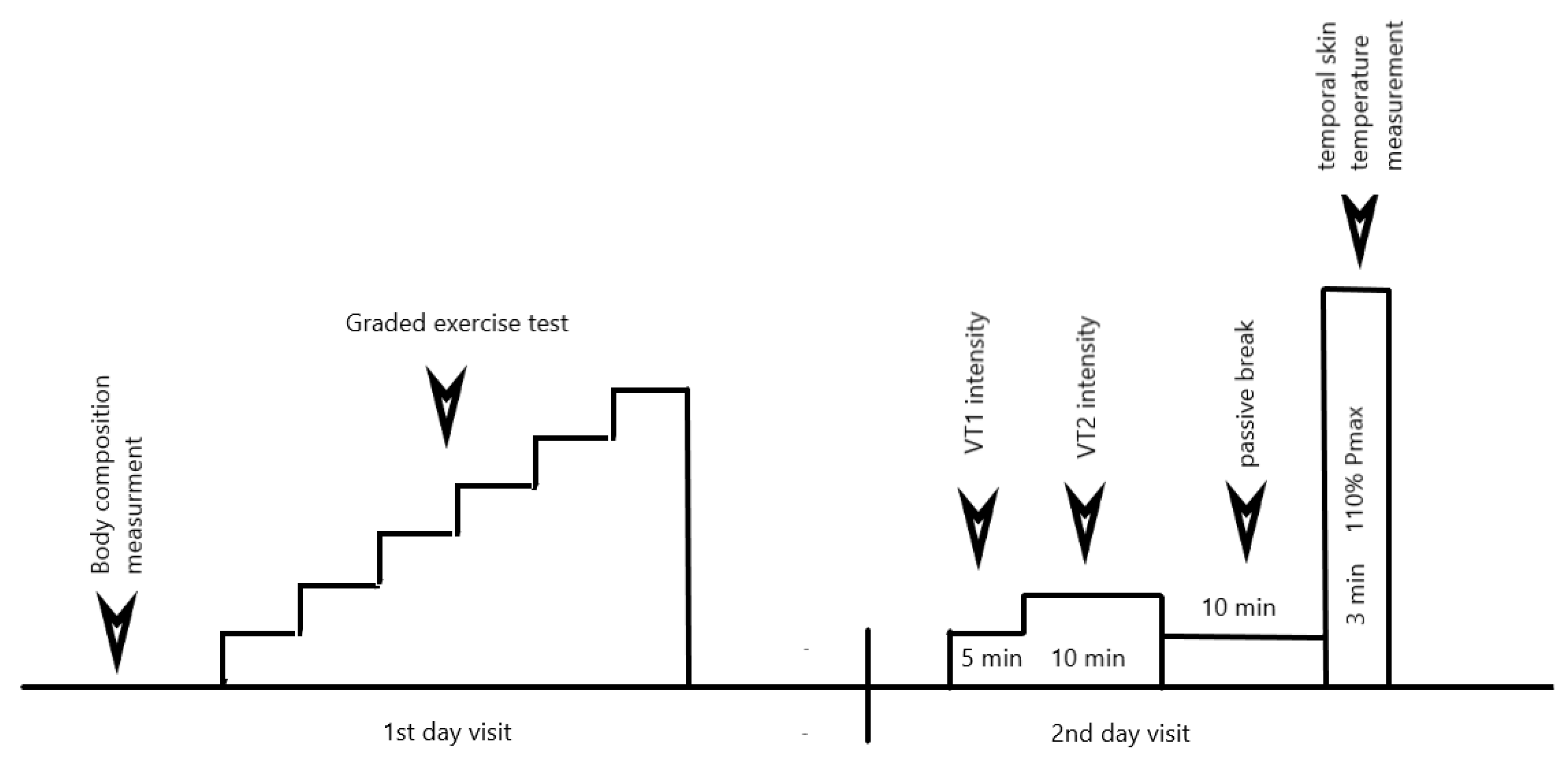 Biology 11 00948 g001